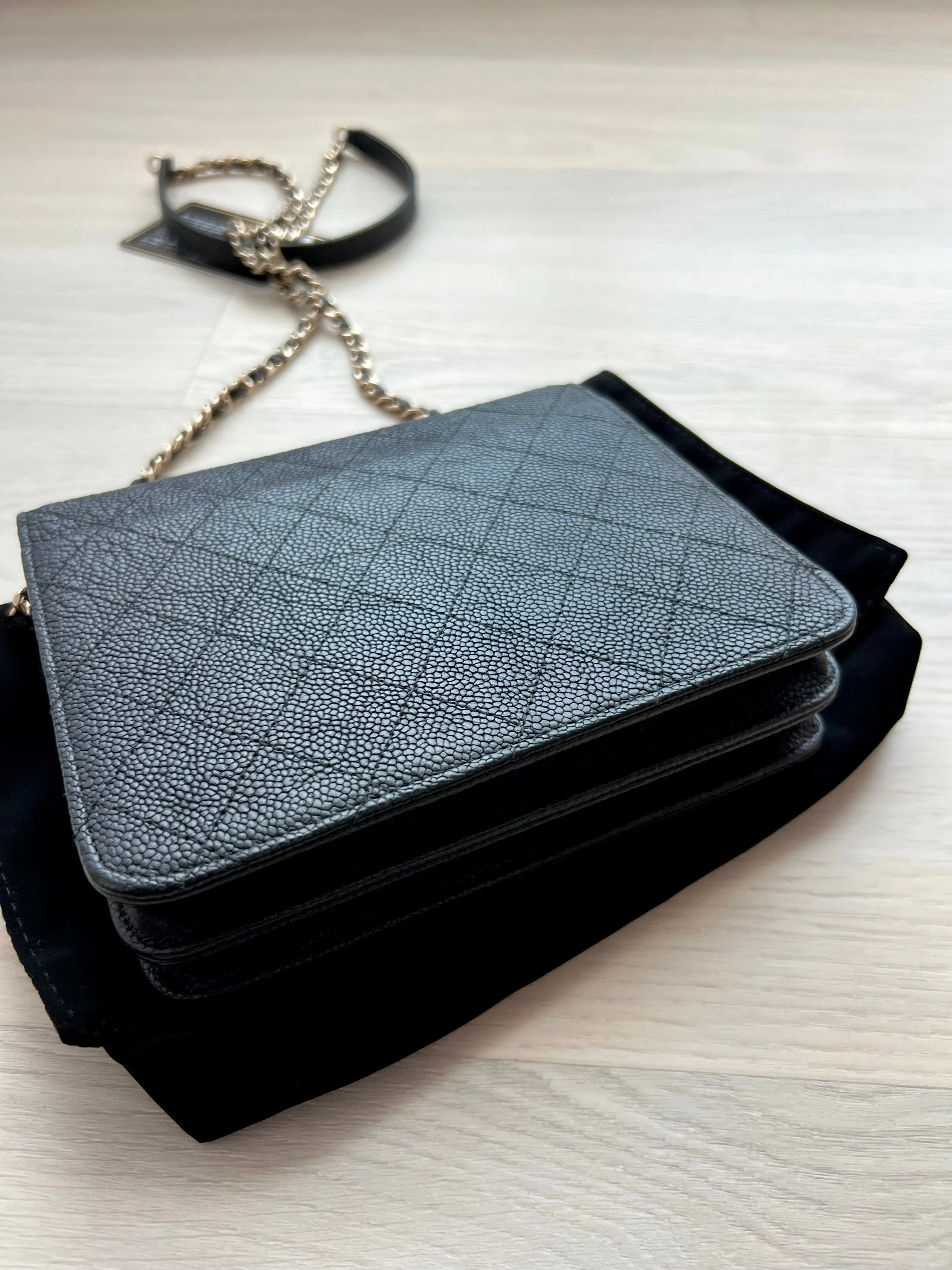 Chanel Seasonal Wallet On Chain Bag