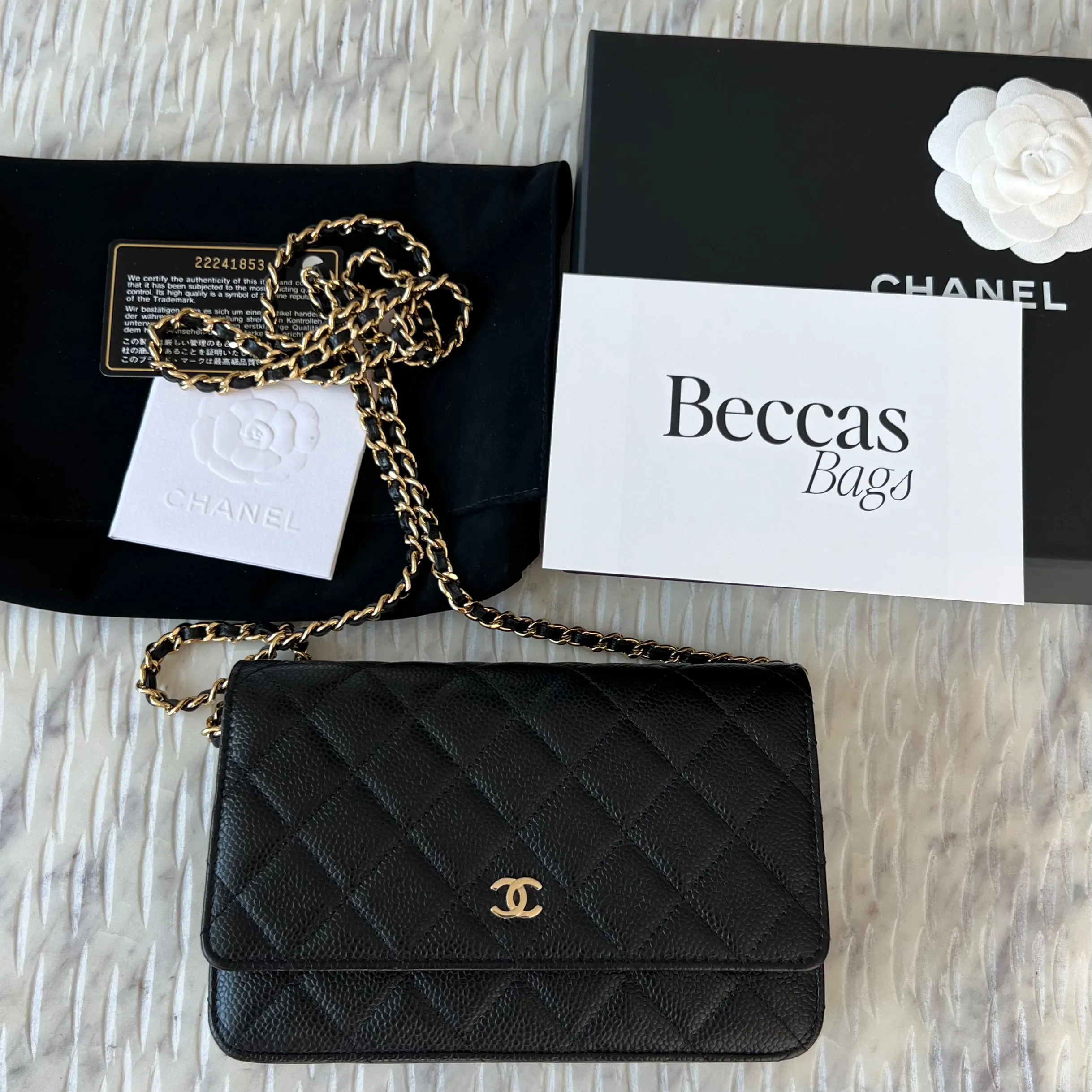 Chanel Wallet on Chain Bag