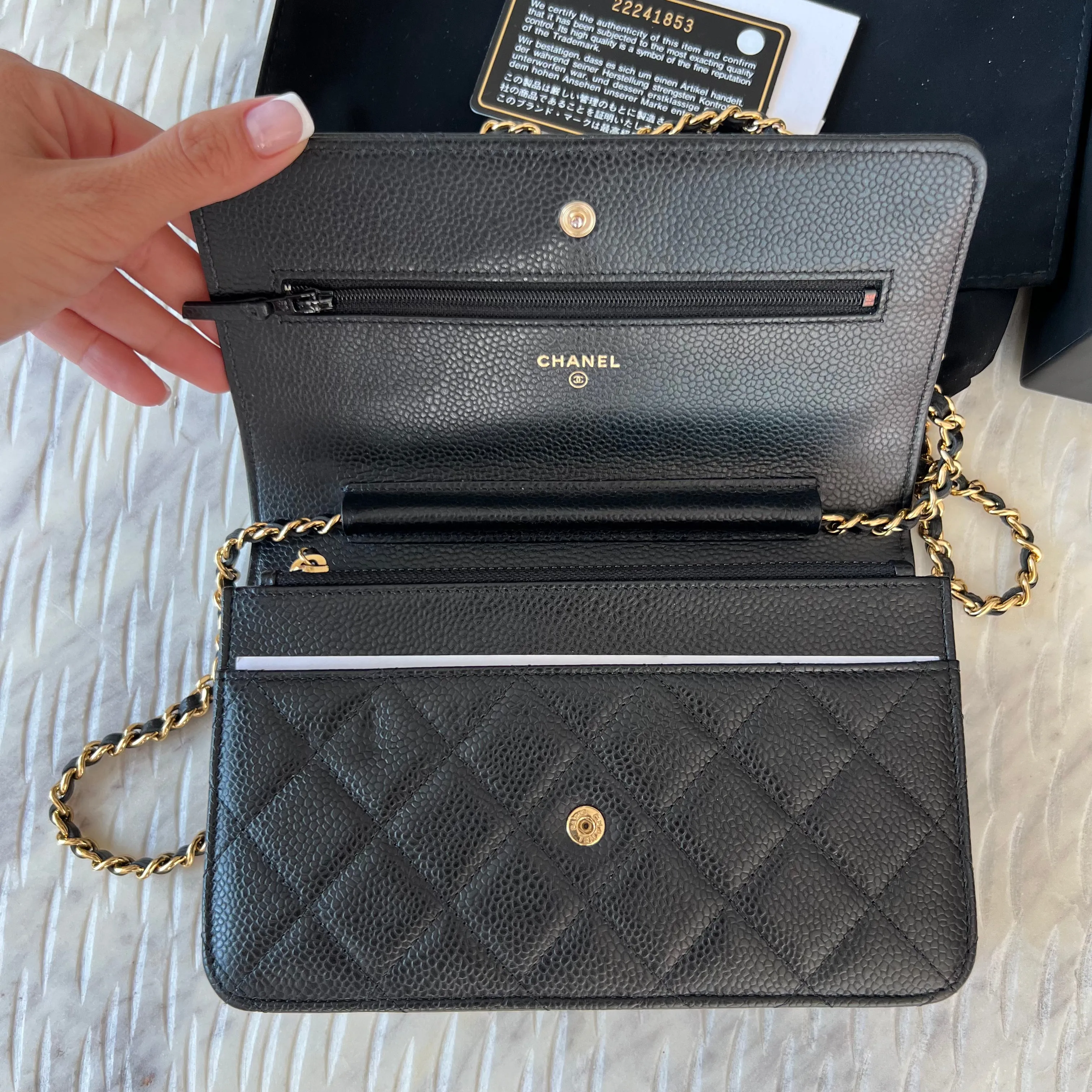 Chanel Wallet on Chain Bag