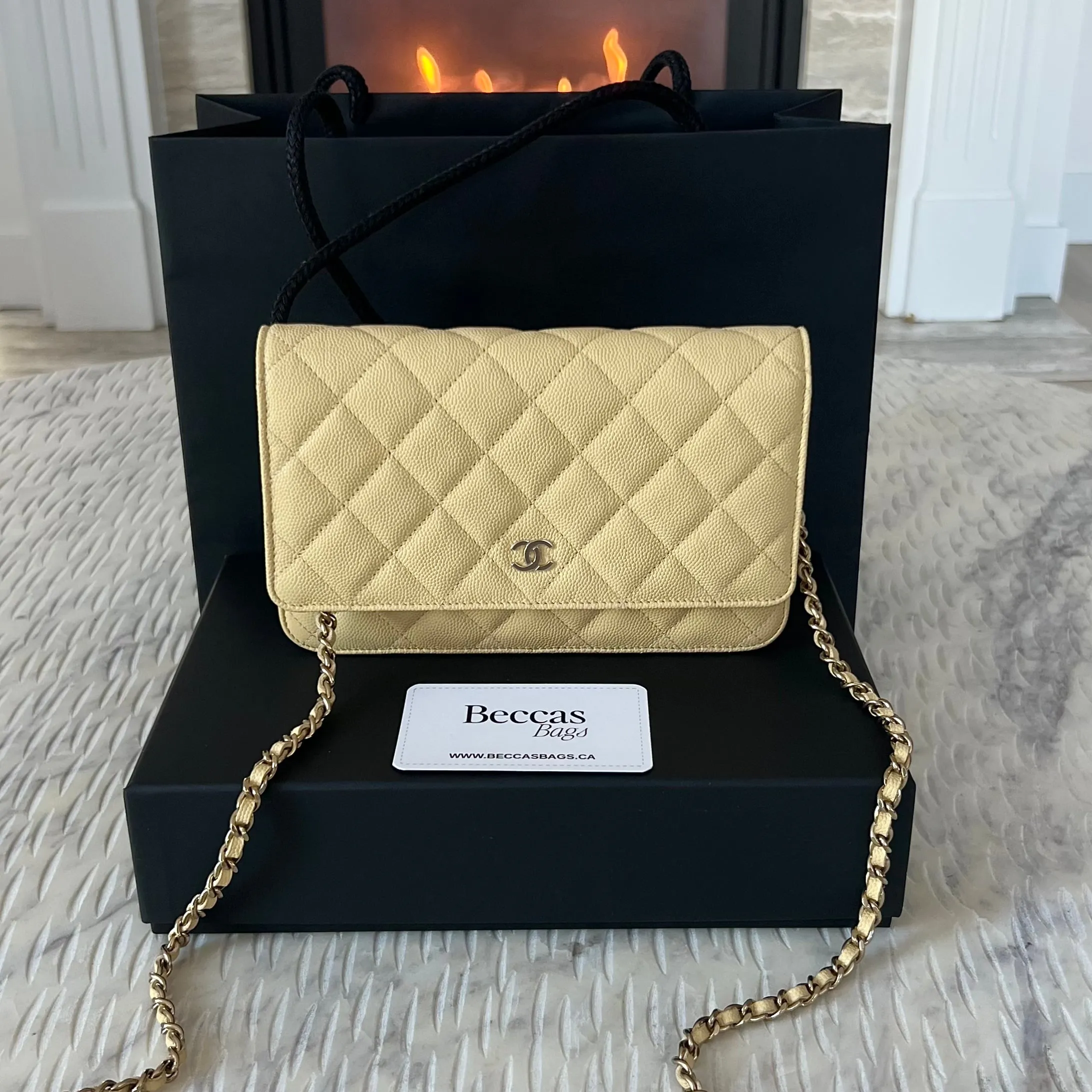 Chanel Wallet On Chain Bag