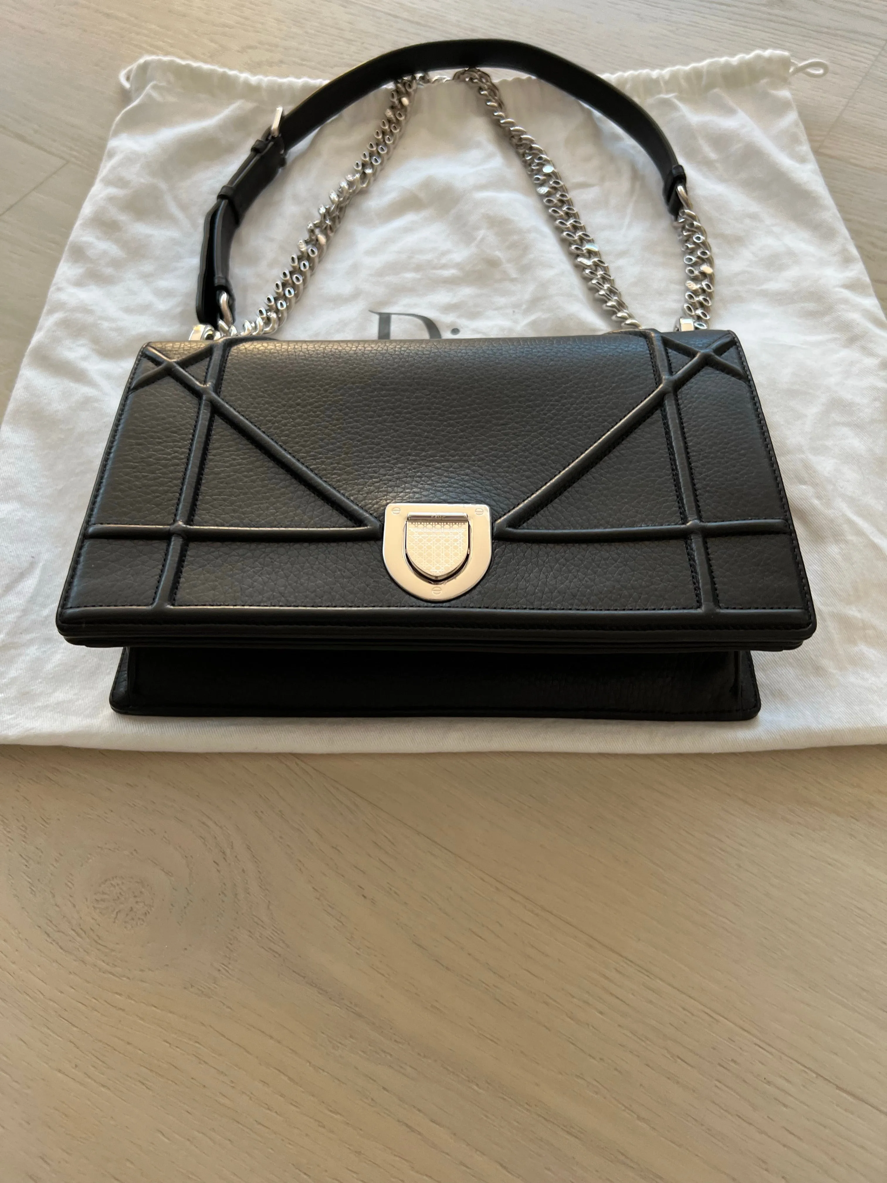 Christian Dior Diorama Bag