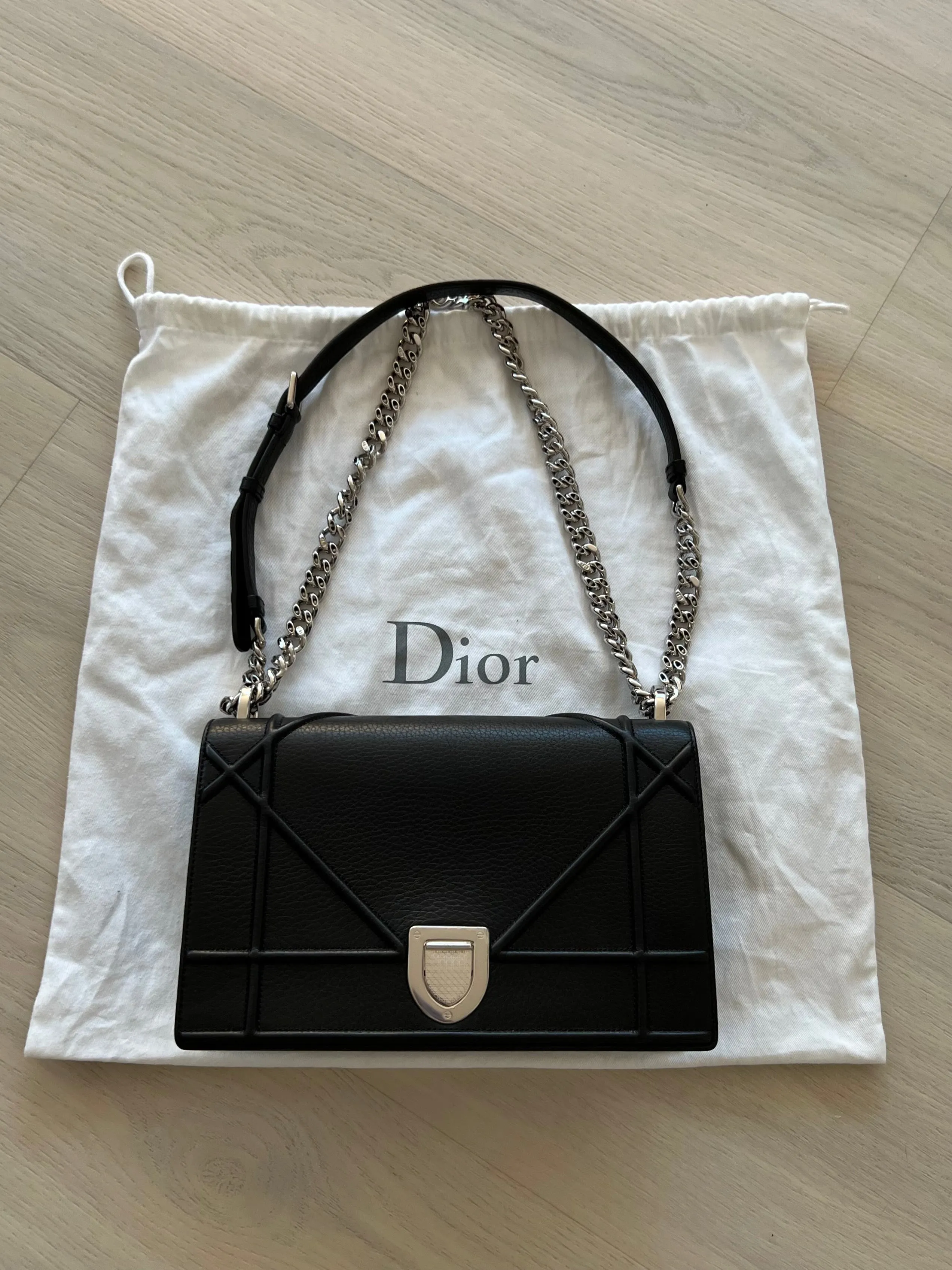 Christian Dior Diorama Bag