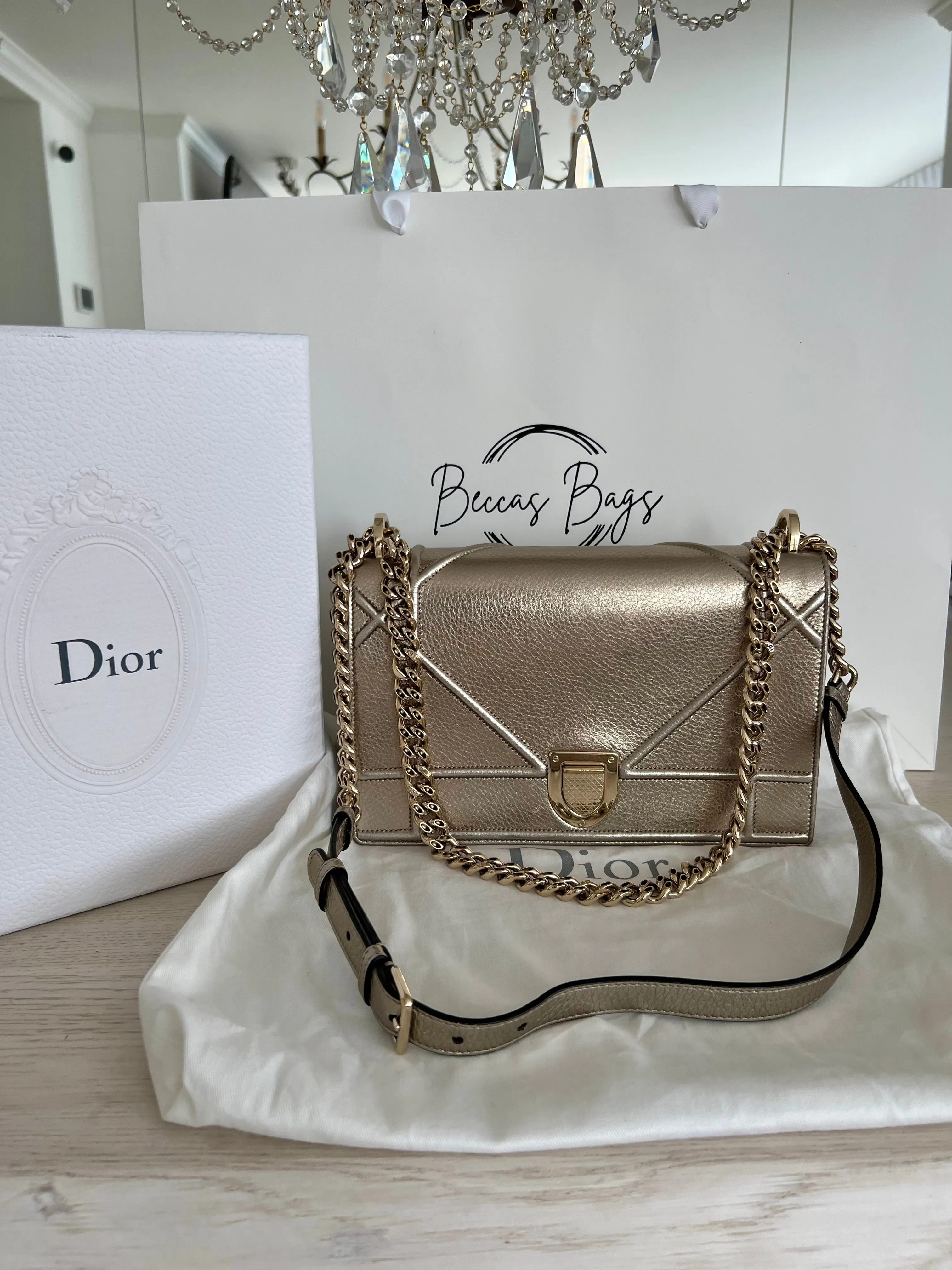 Christian Dior Diorama Bag