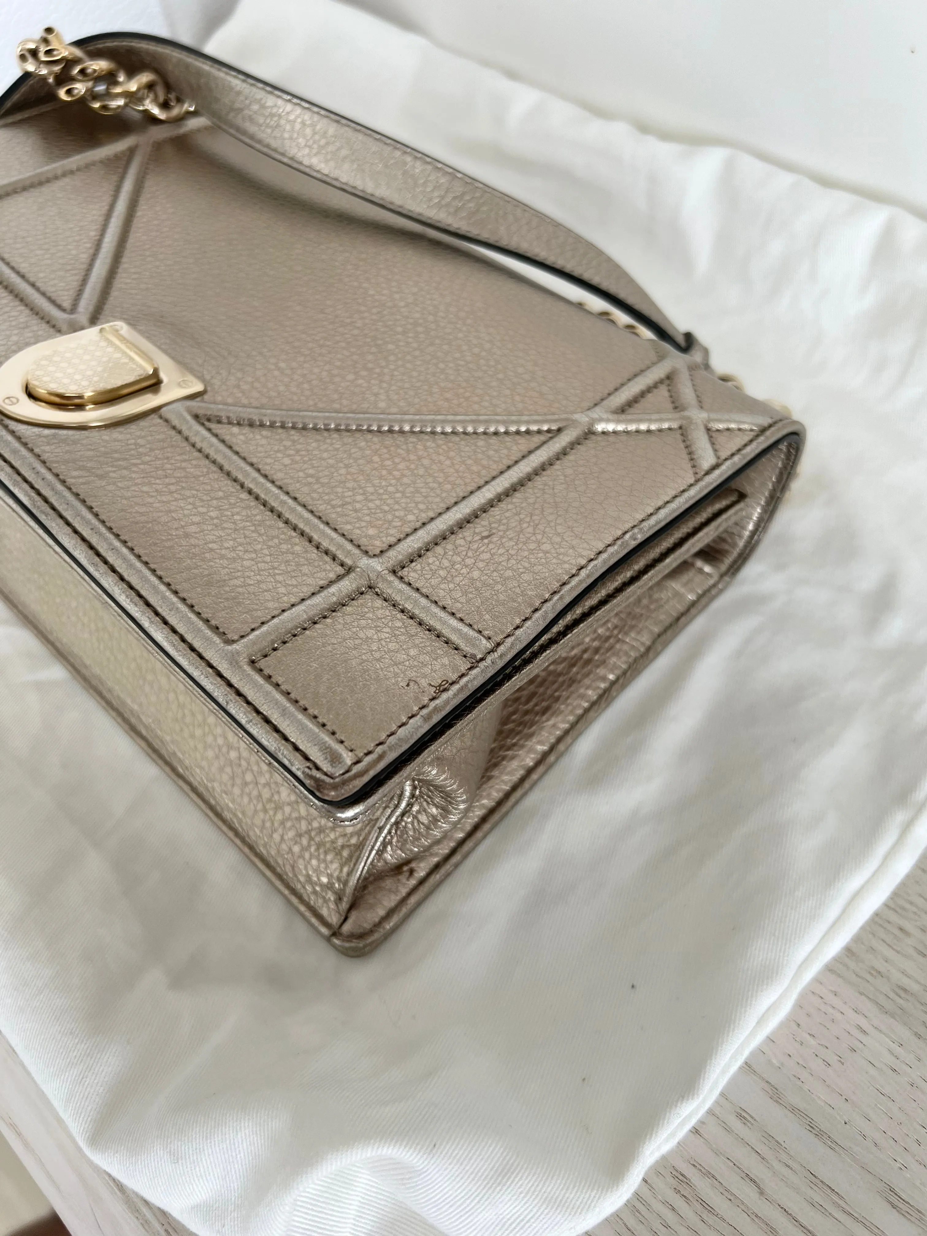 Christian Dior Diorama Bag