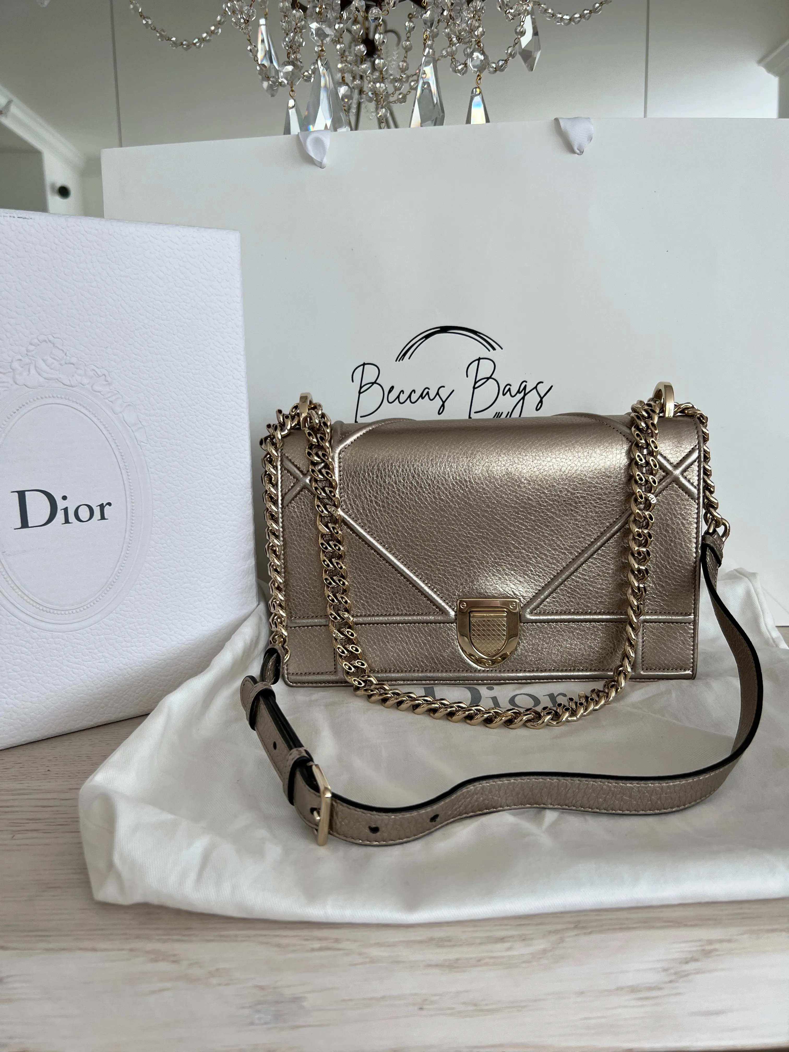 Christian Dior Diorama Bag