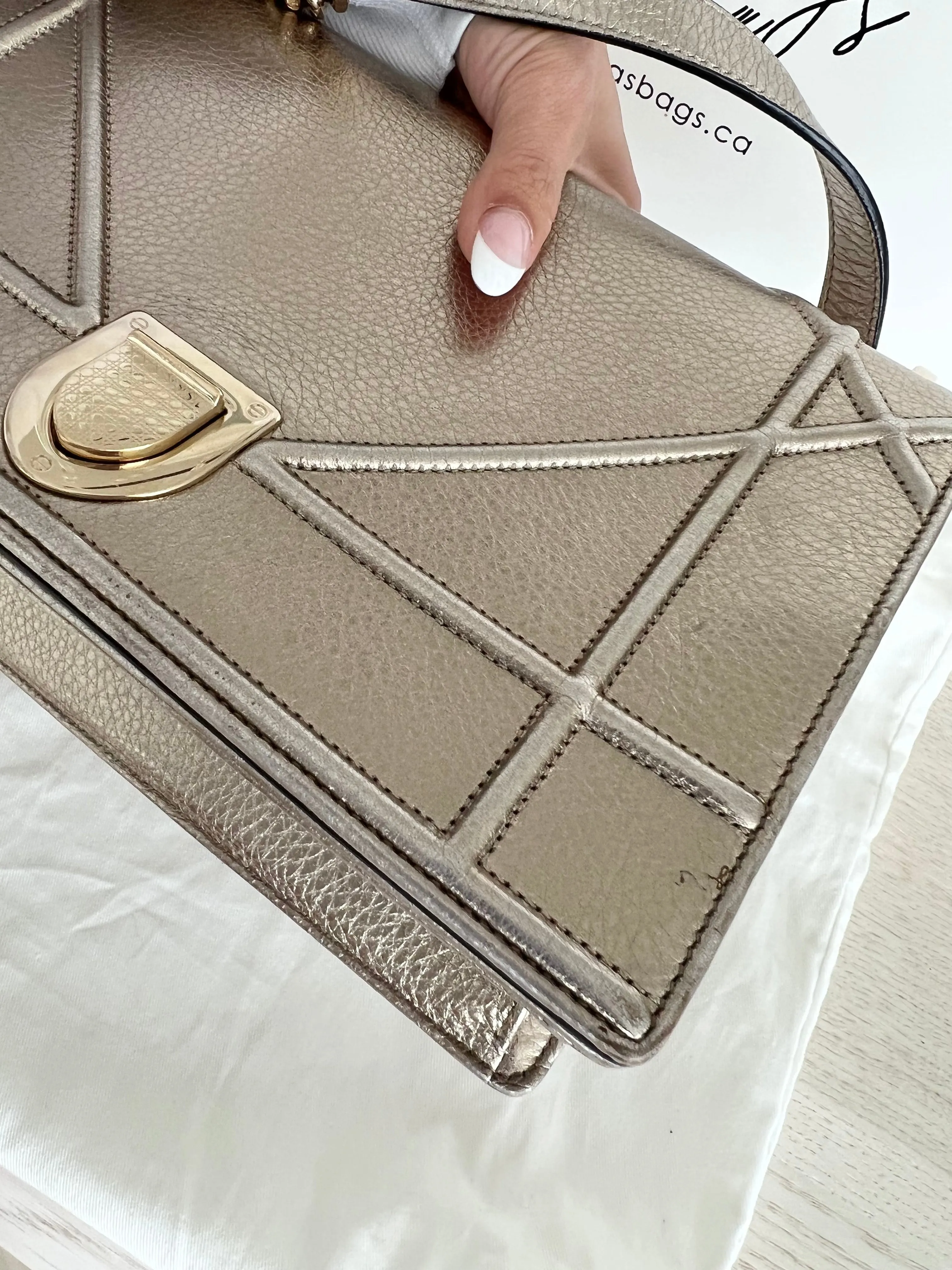 Christian Dior Diorama Bag