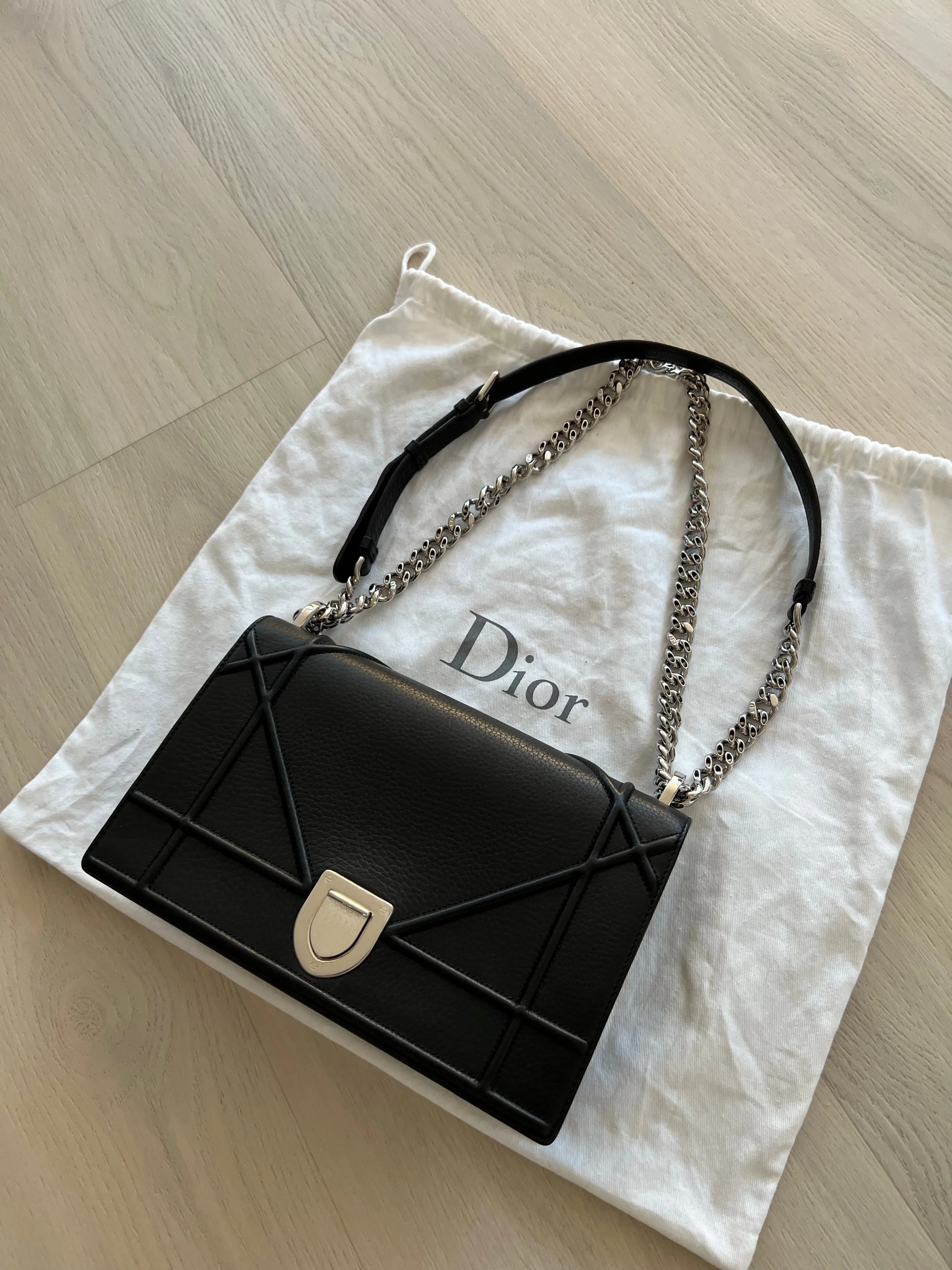 Christian Dior Diorama Bag