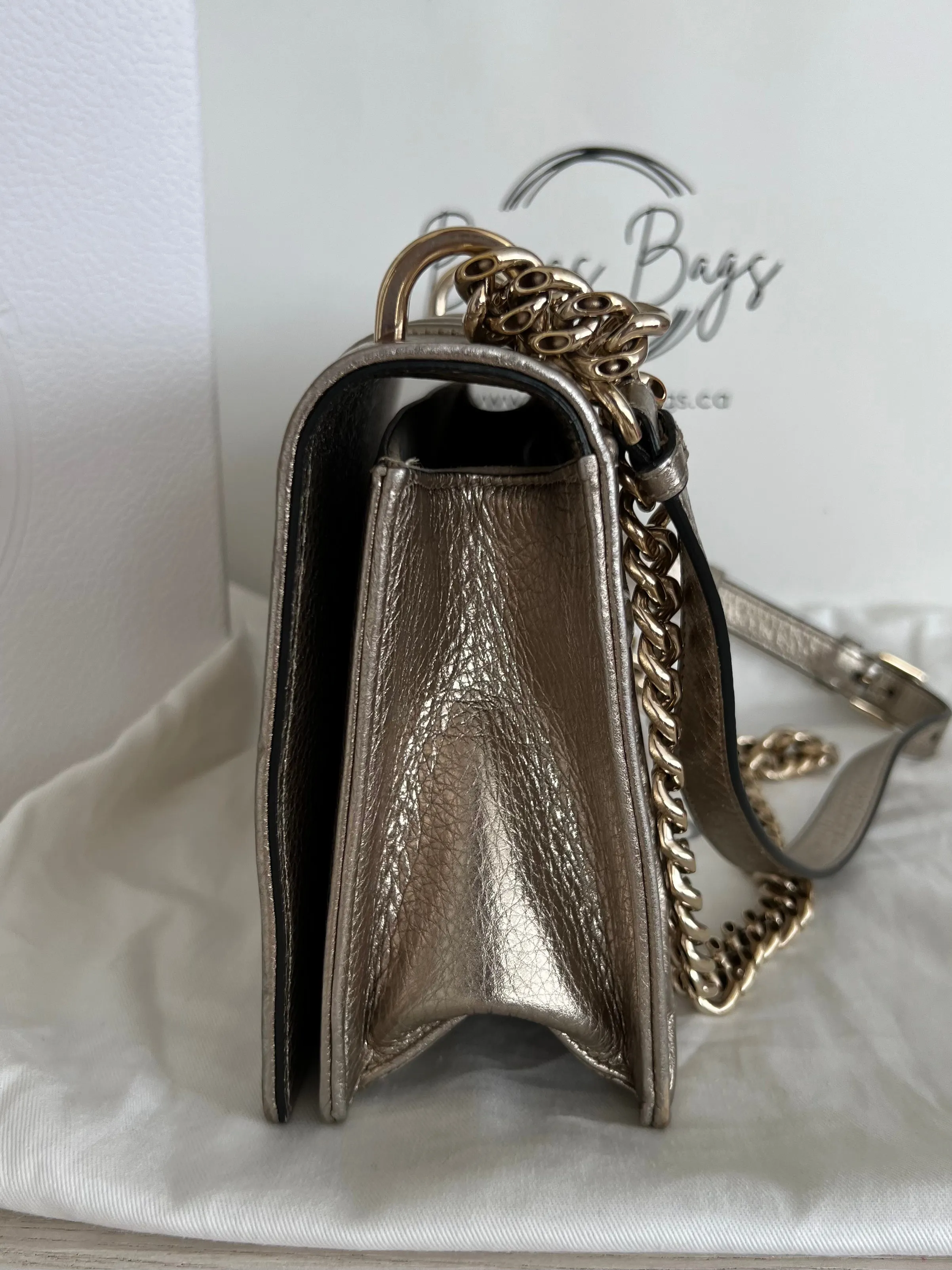 Christian Dior Diorama Bag