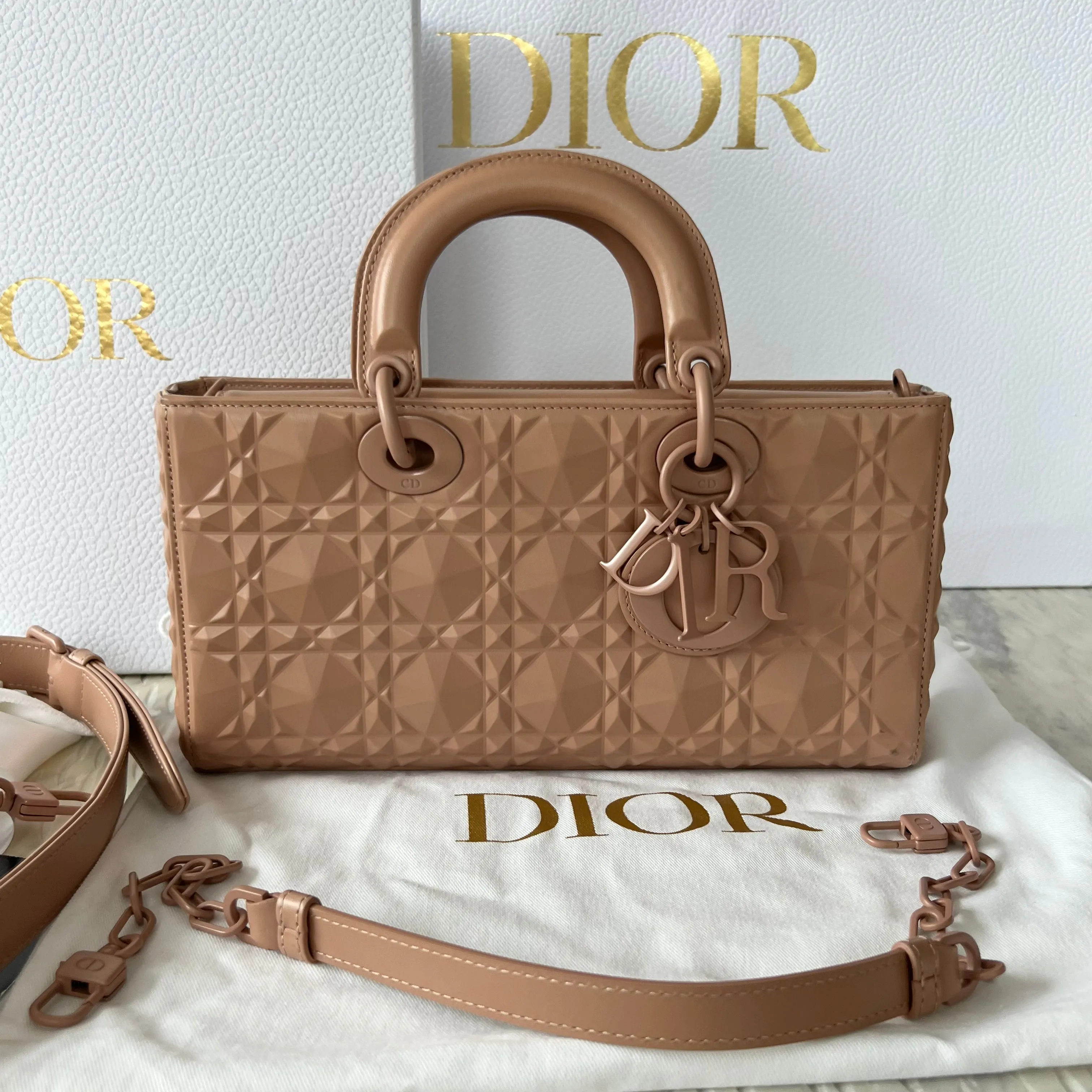 Christian Dior Lady D-Joy Bag