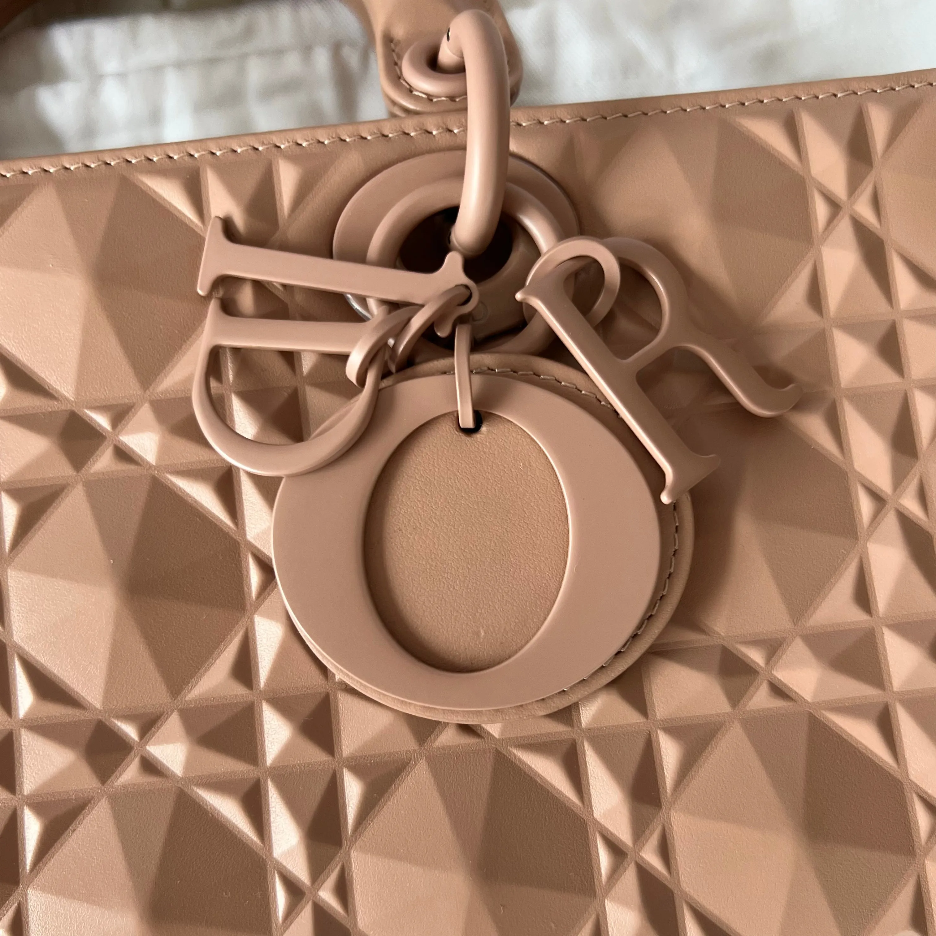 Christian Dior Lady D-Joy Bag