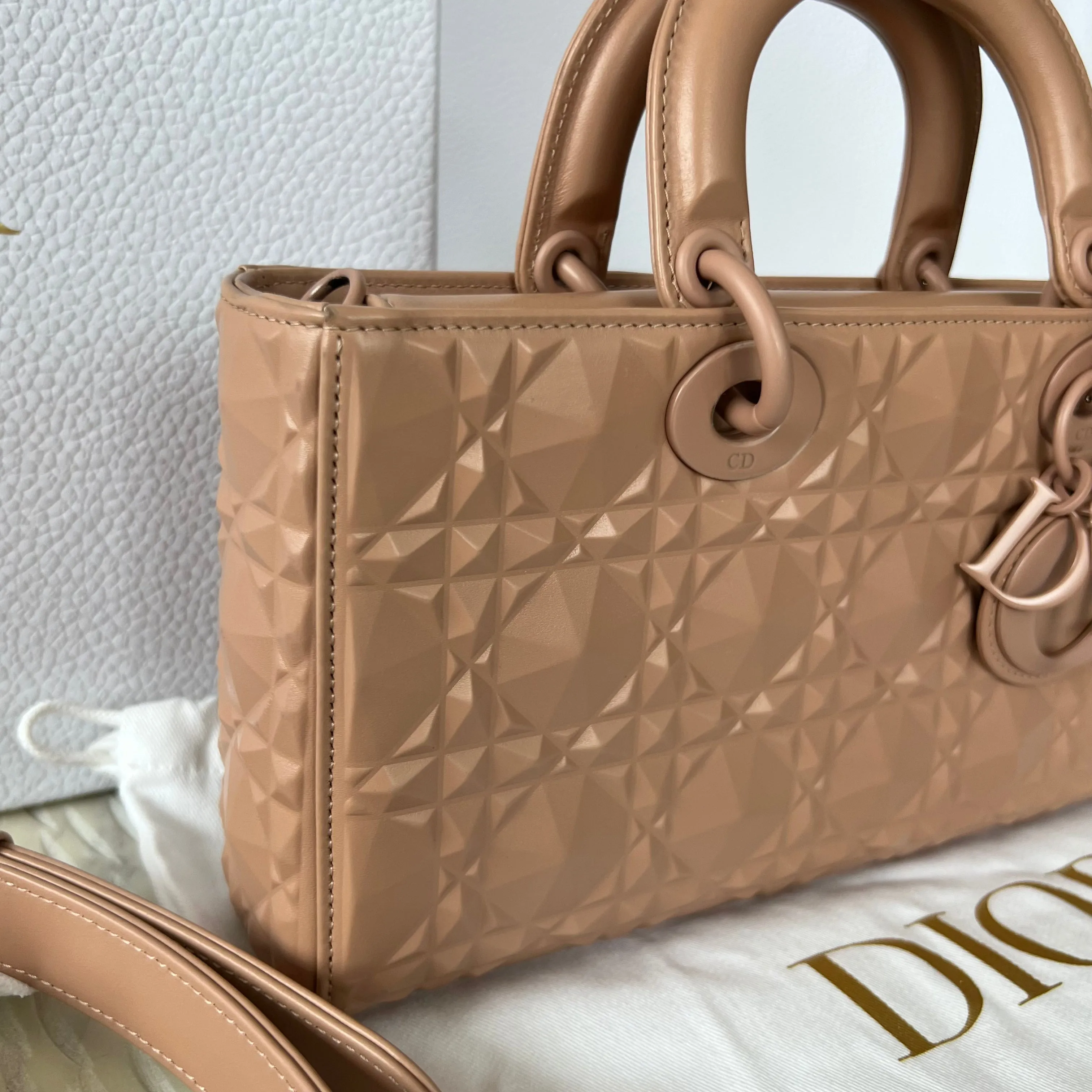 Christian Dior Lady D-Joy Bag