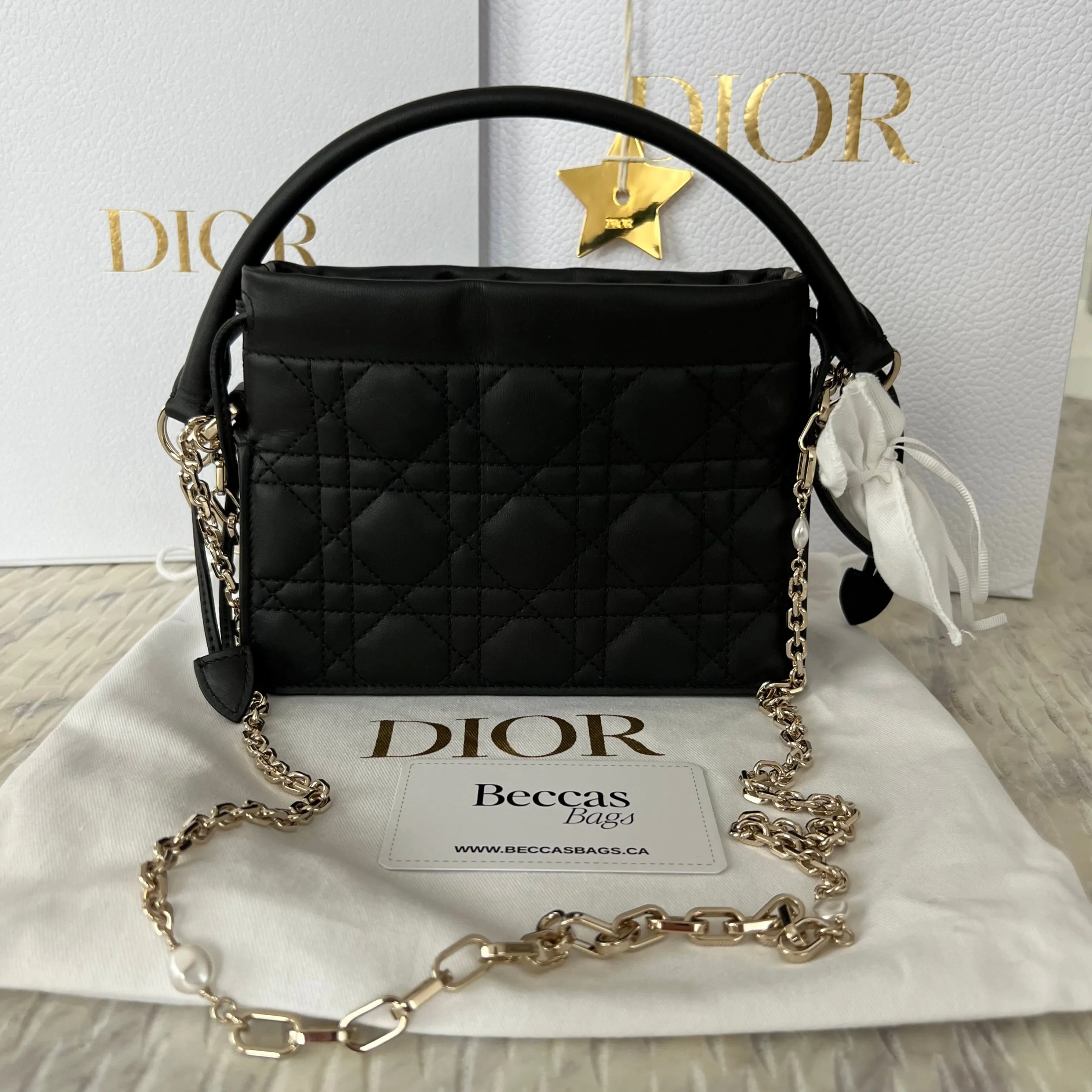 Christian Dior Lady Dior Milly Mini Bag