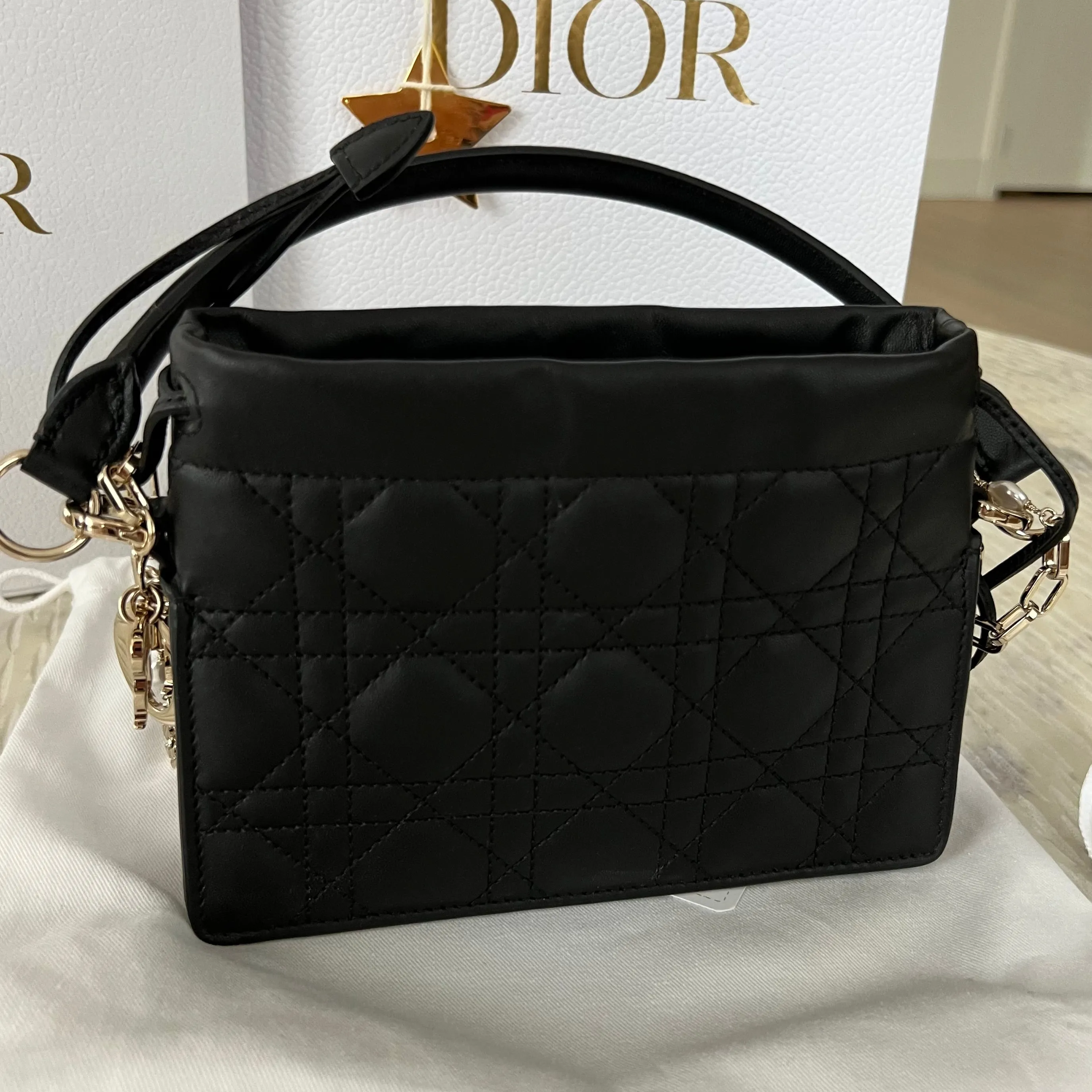 Christian Dior Lady Dior Milly Mini Bag