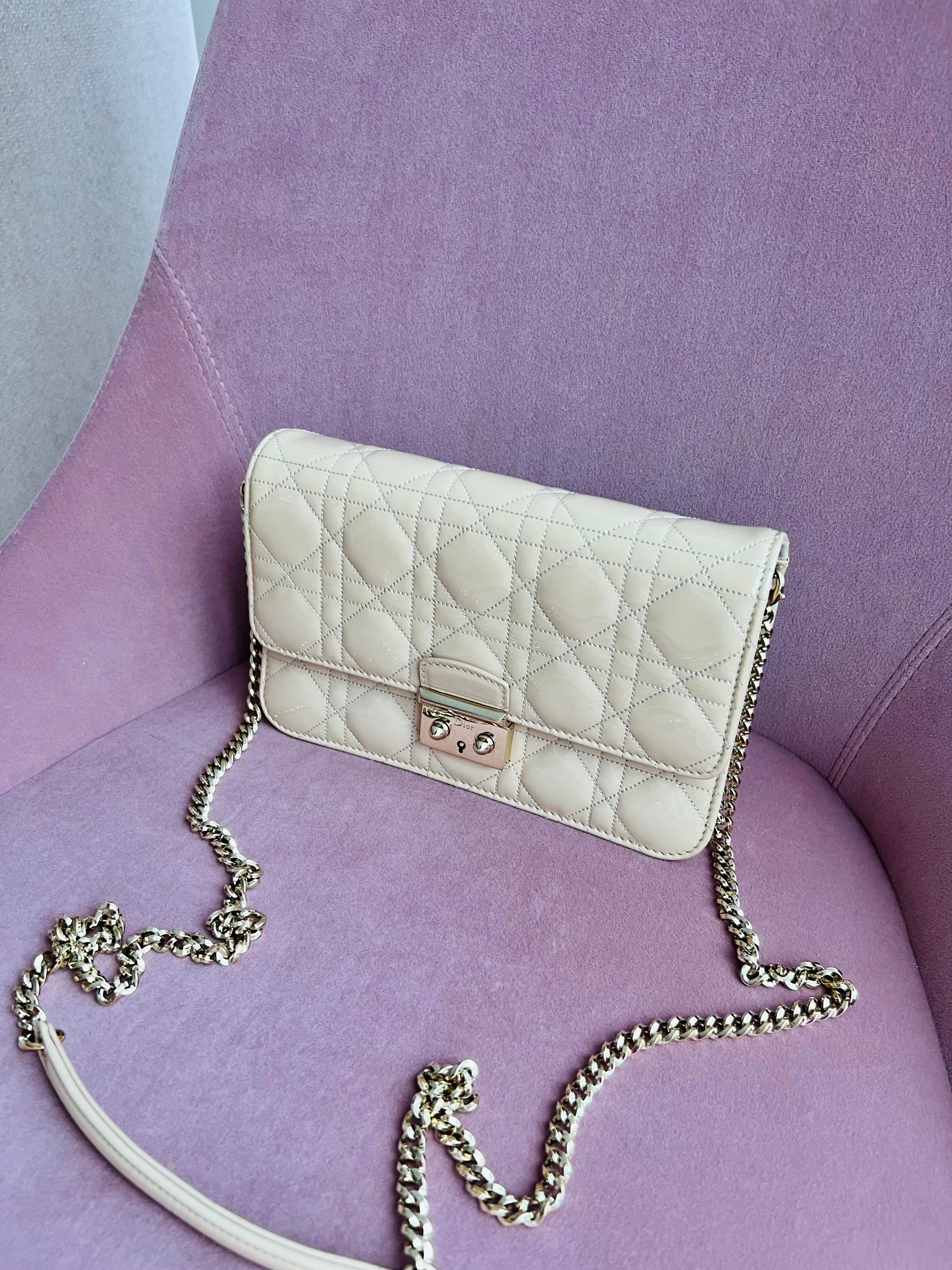 Christian Dior Promenade Bag