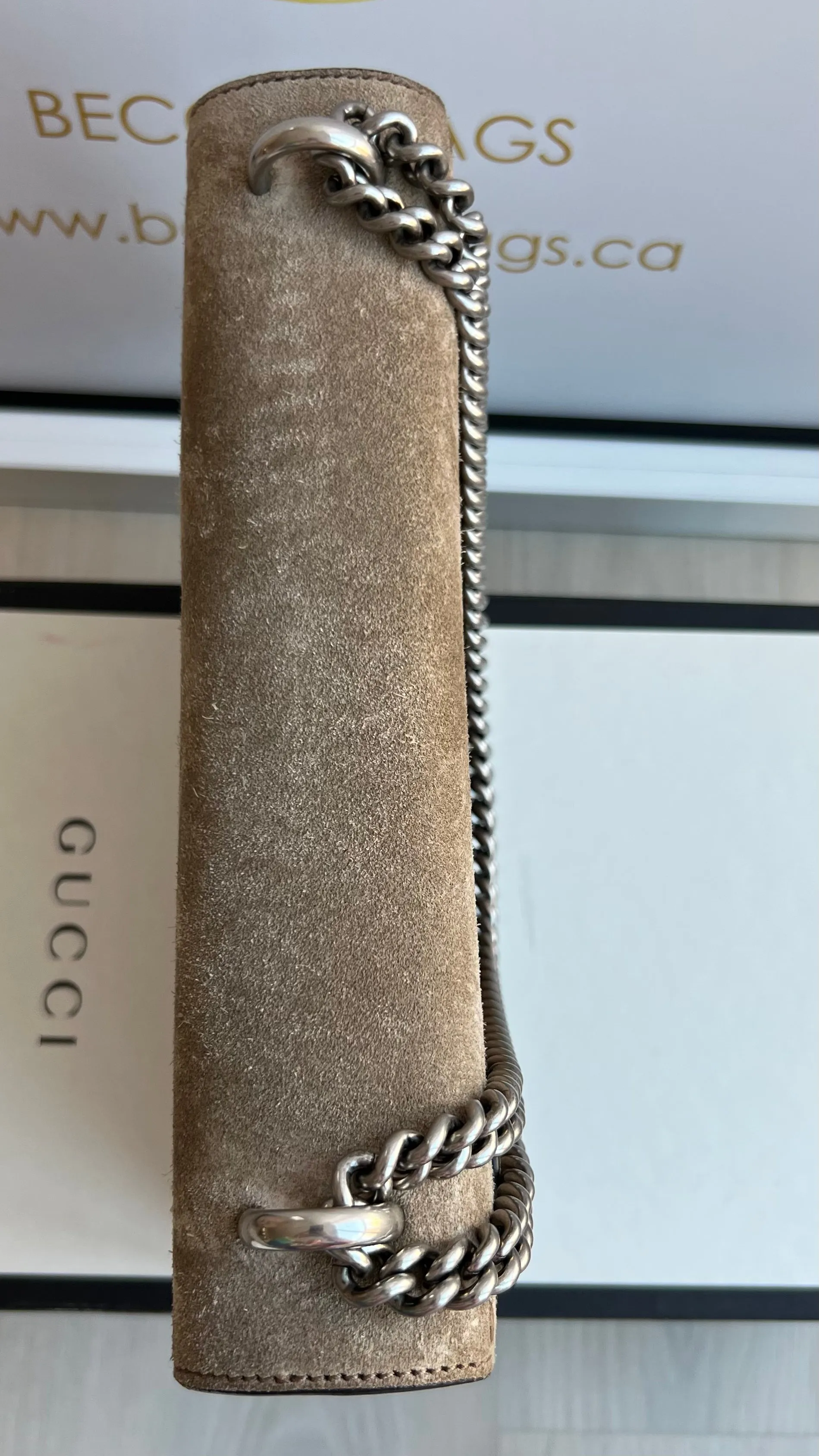 Gucci Dionysus Bag