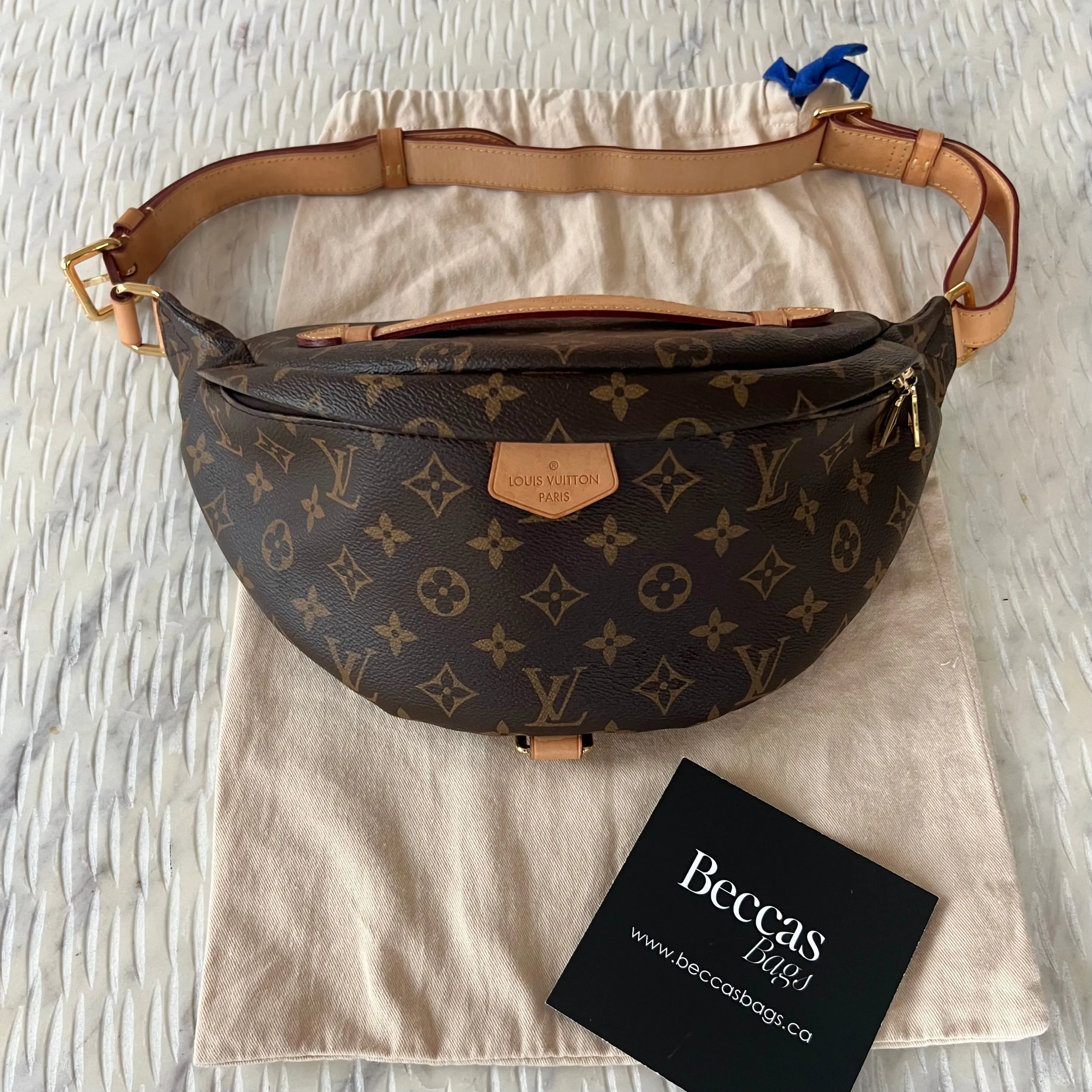 Louis Vuitton Bum Bag