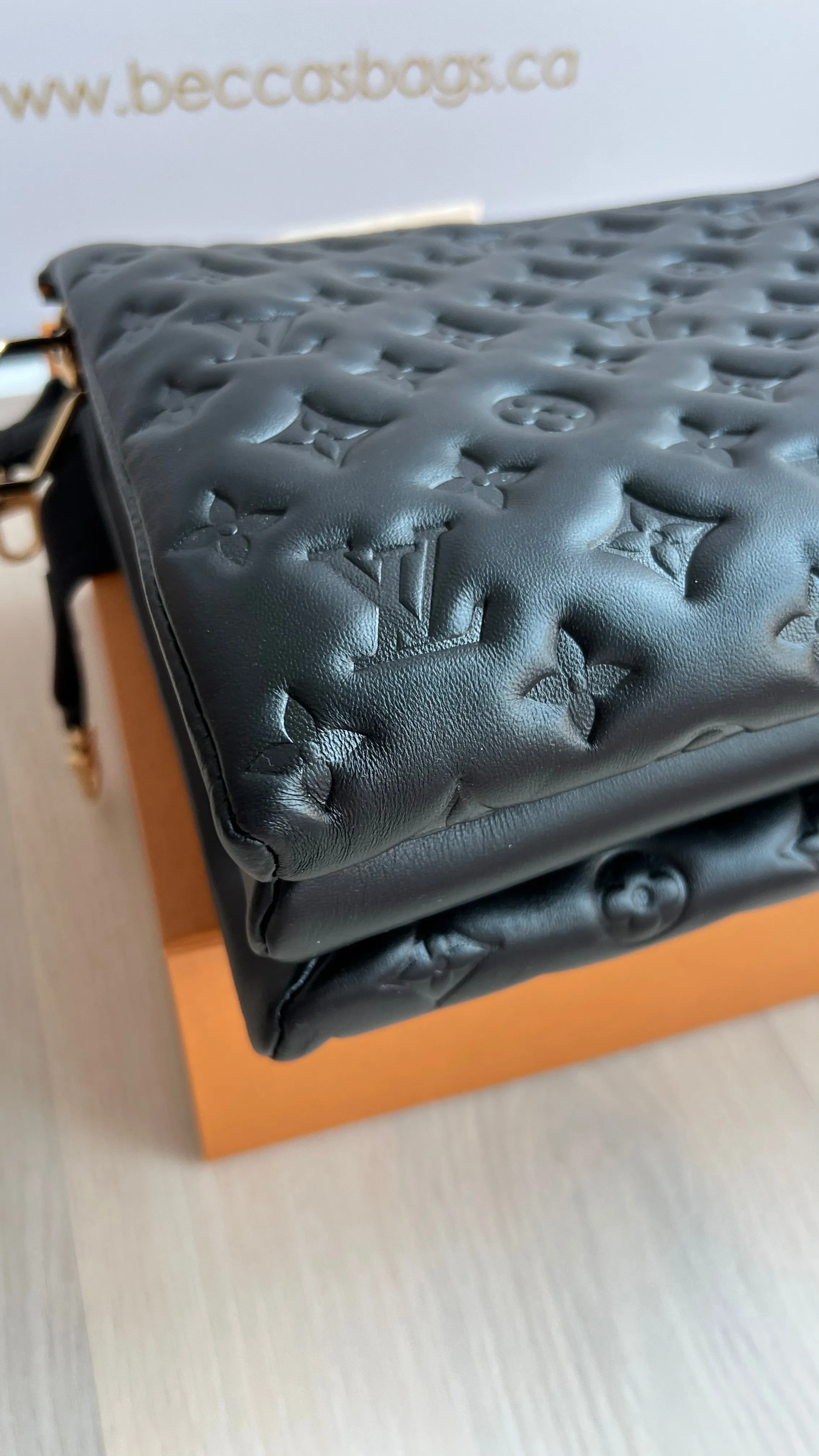 Louis Vuitton Coussin Bag