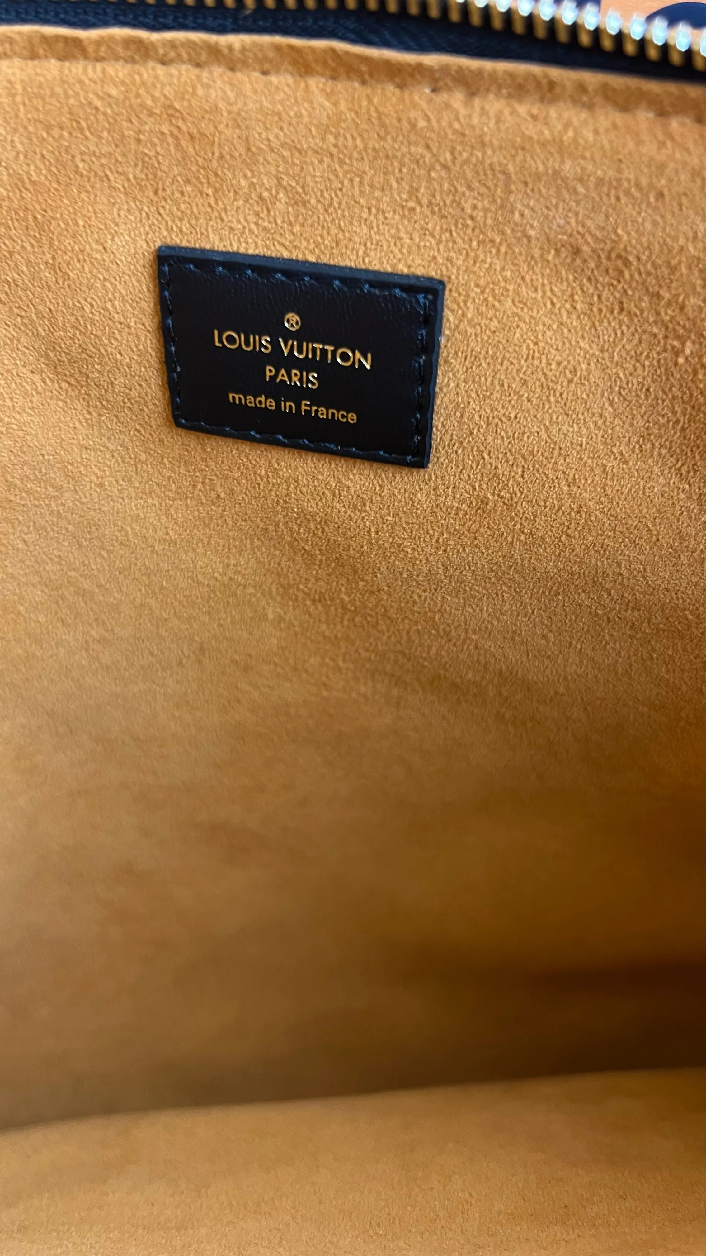 Louis Vuitton Coussin Bag