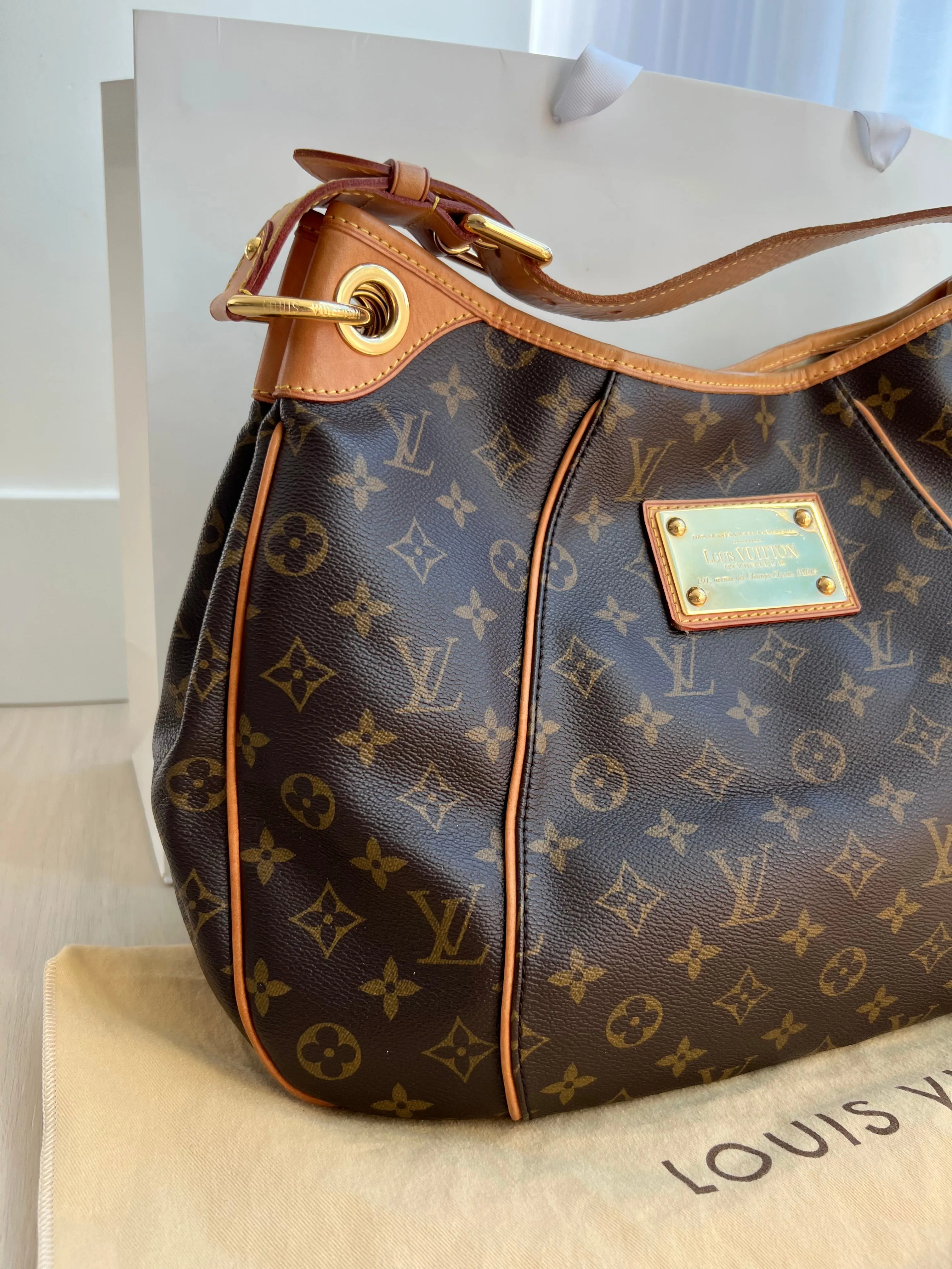 Louis Vuitton Galleria Bag