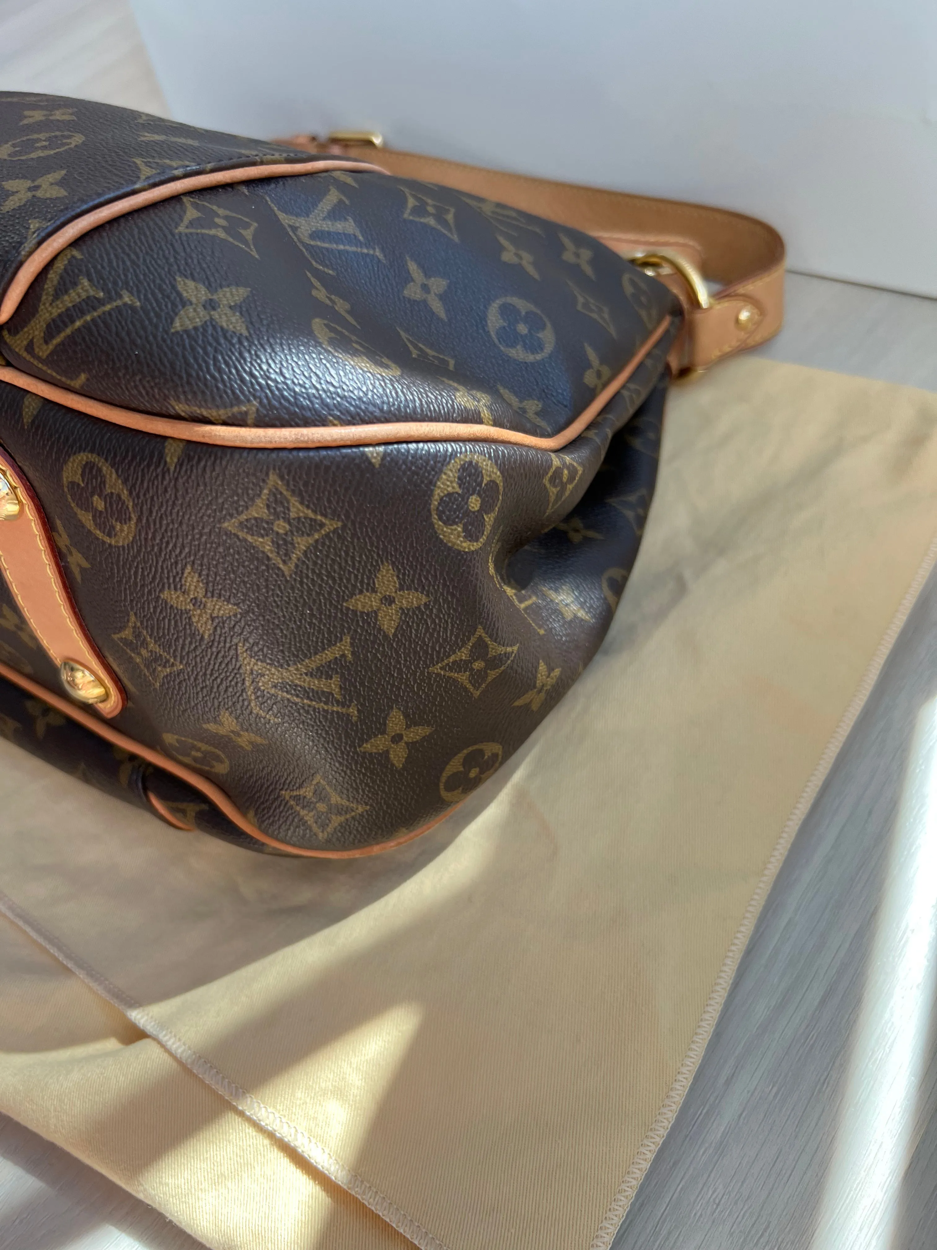 Louis Vuitton Galleria Bag