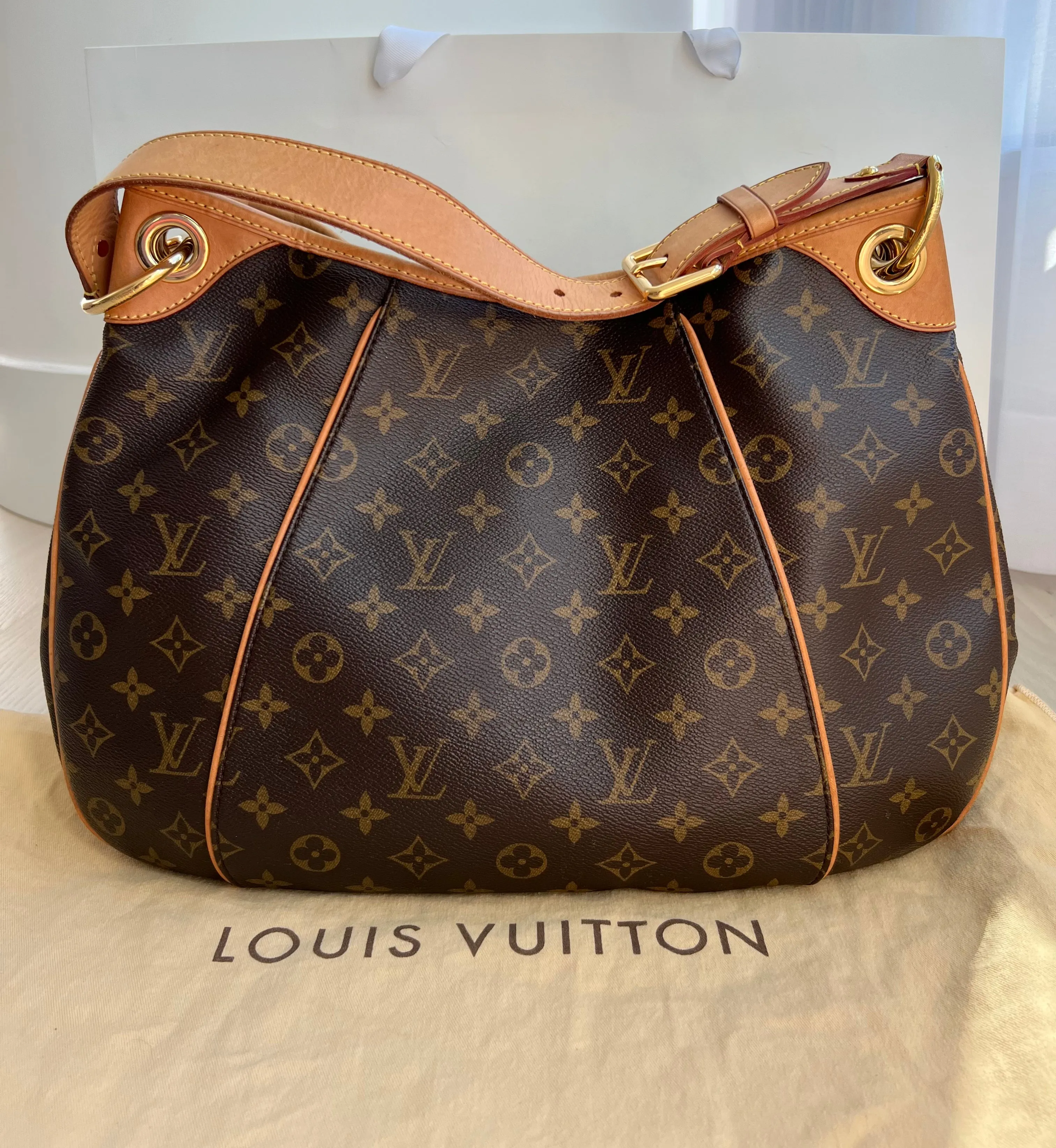 Louis Vuitton Galleria Bag