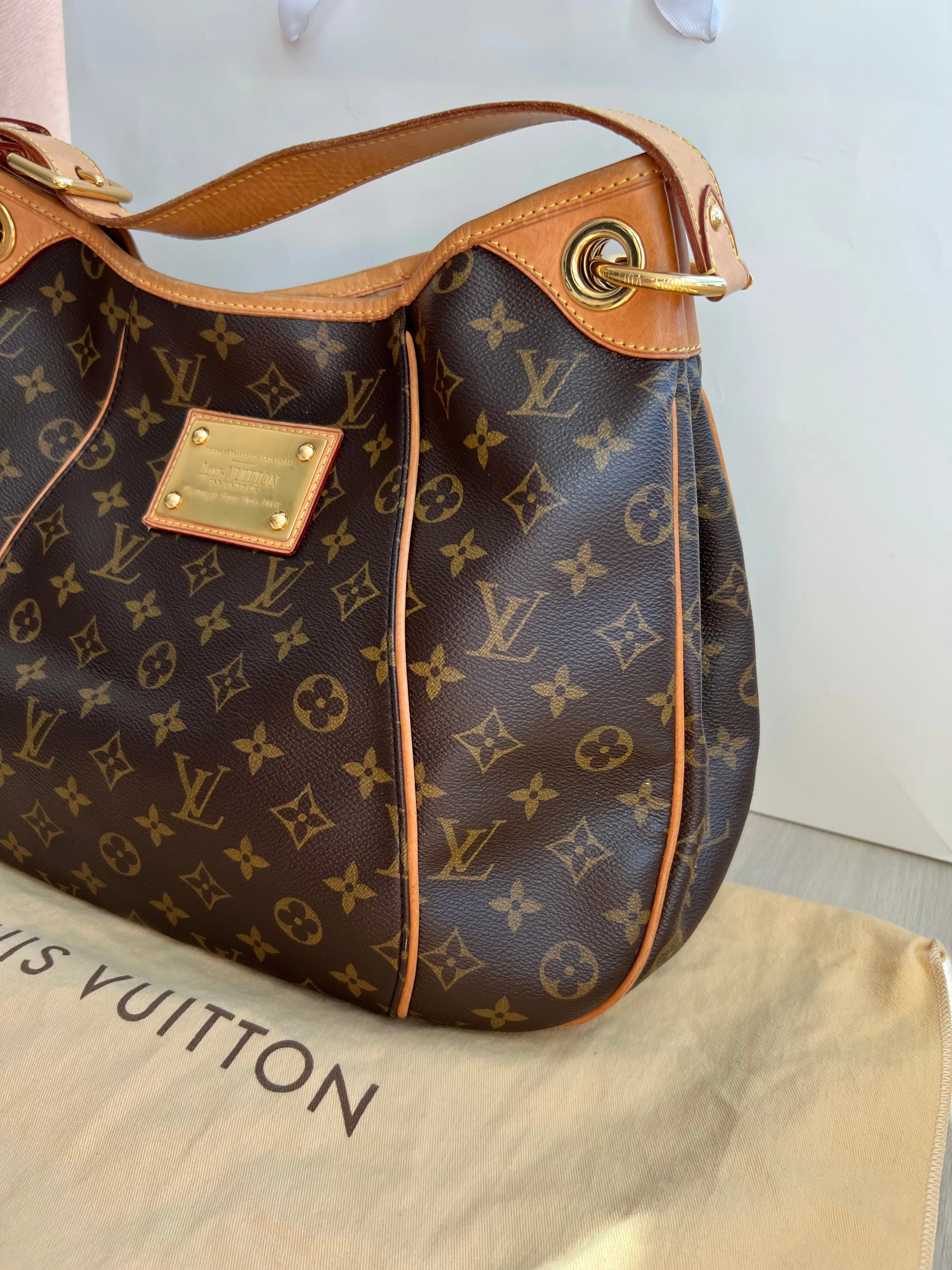 Louis Vuitton Galleria Bag