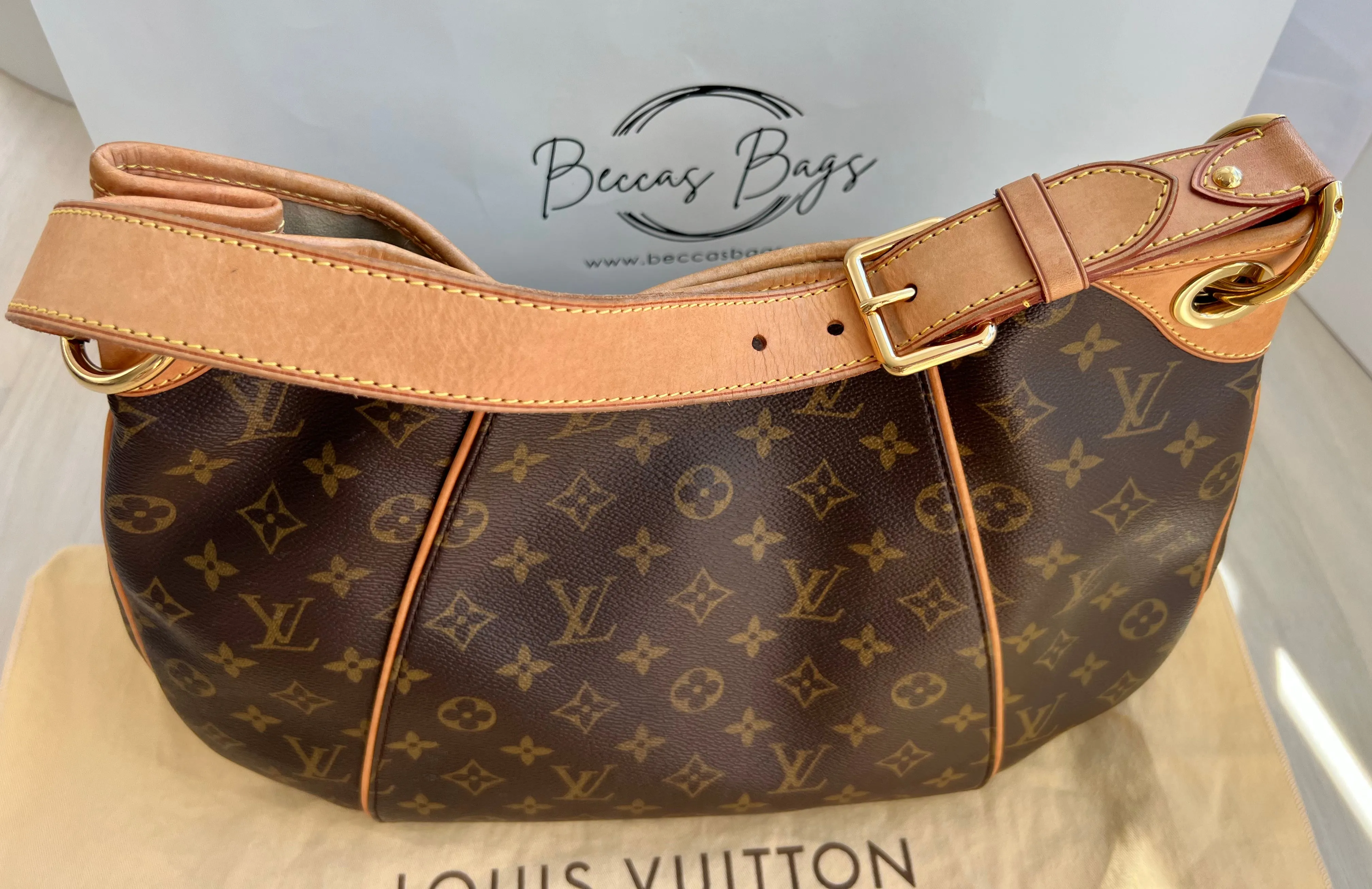 Louis Vuitton Galleria Bag