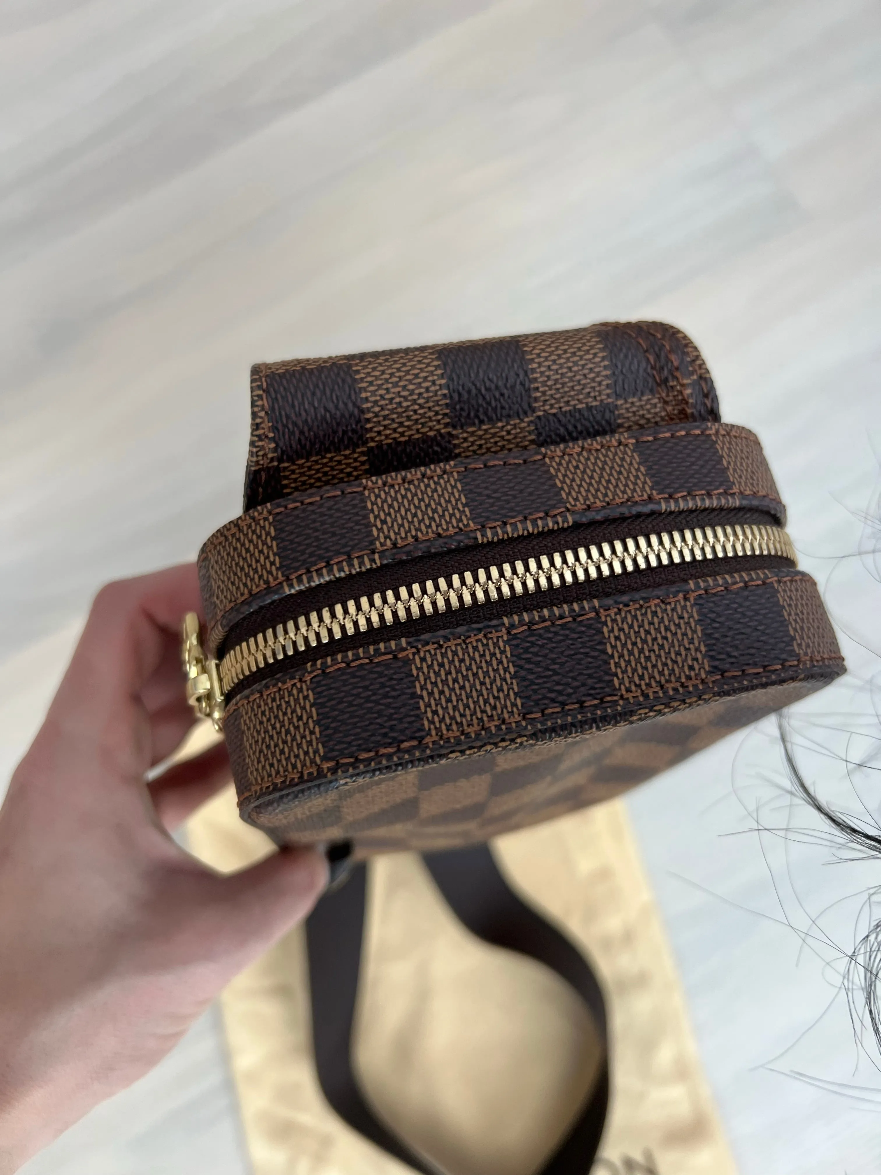 Louis Vuitton Gerinamos Bag