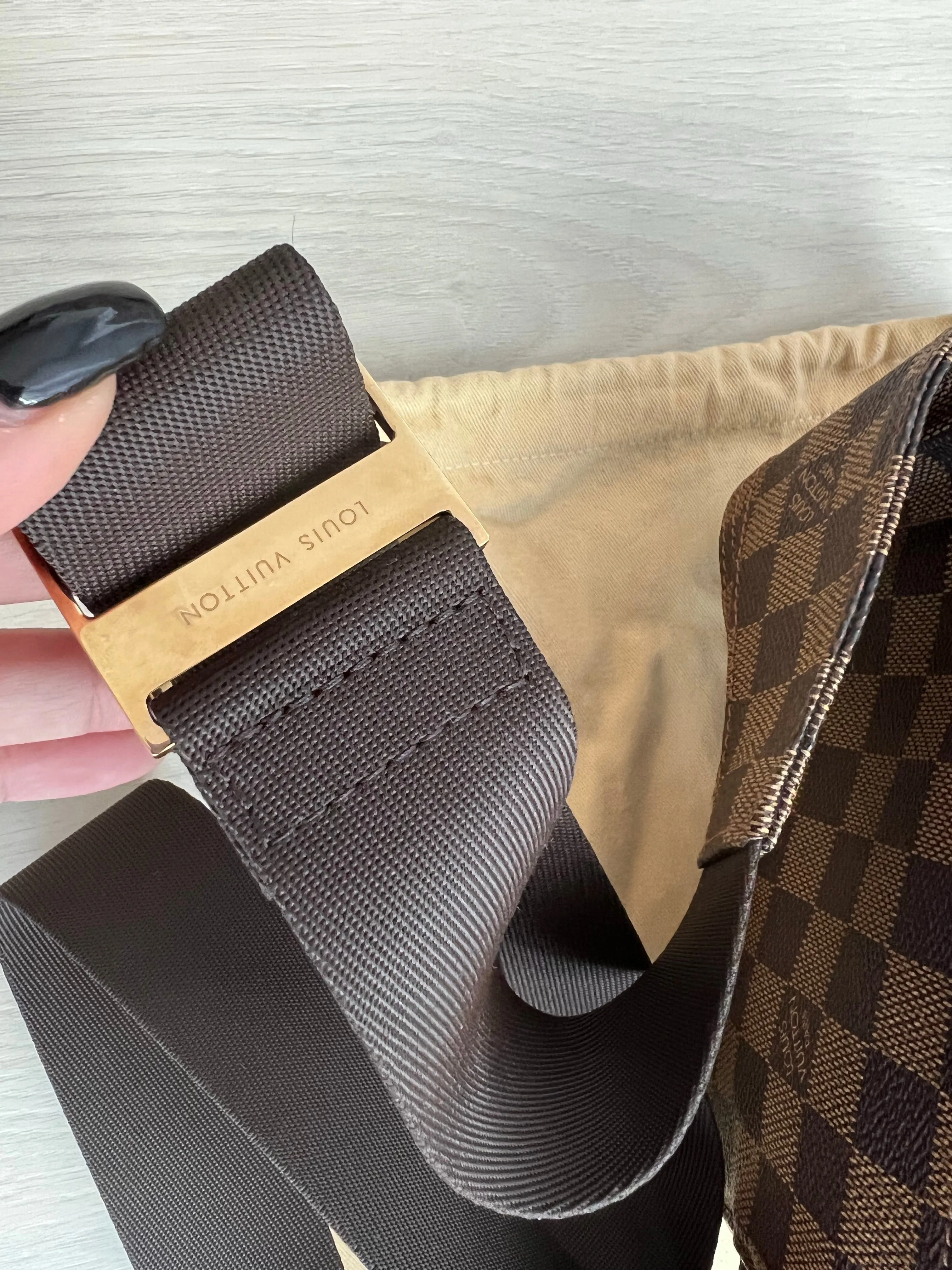 Louis Vuitton Gerinamos Bag