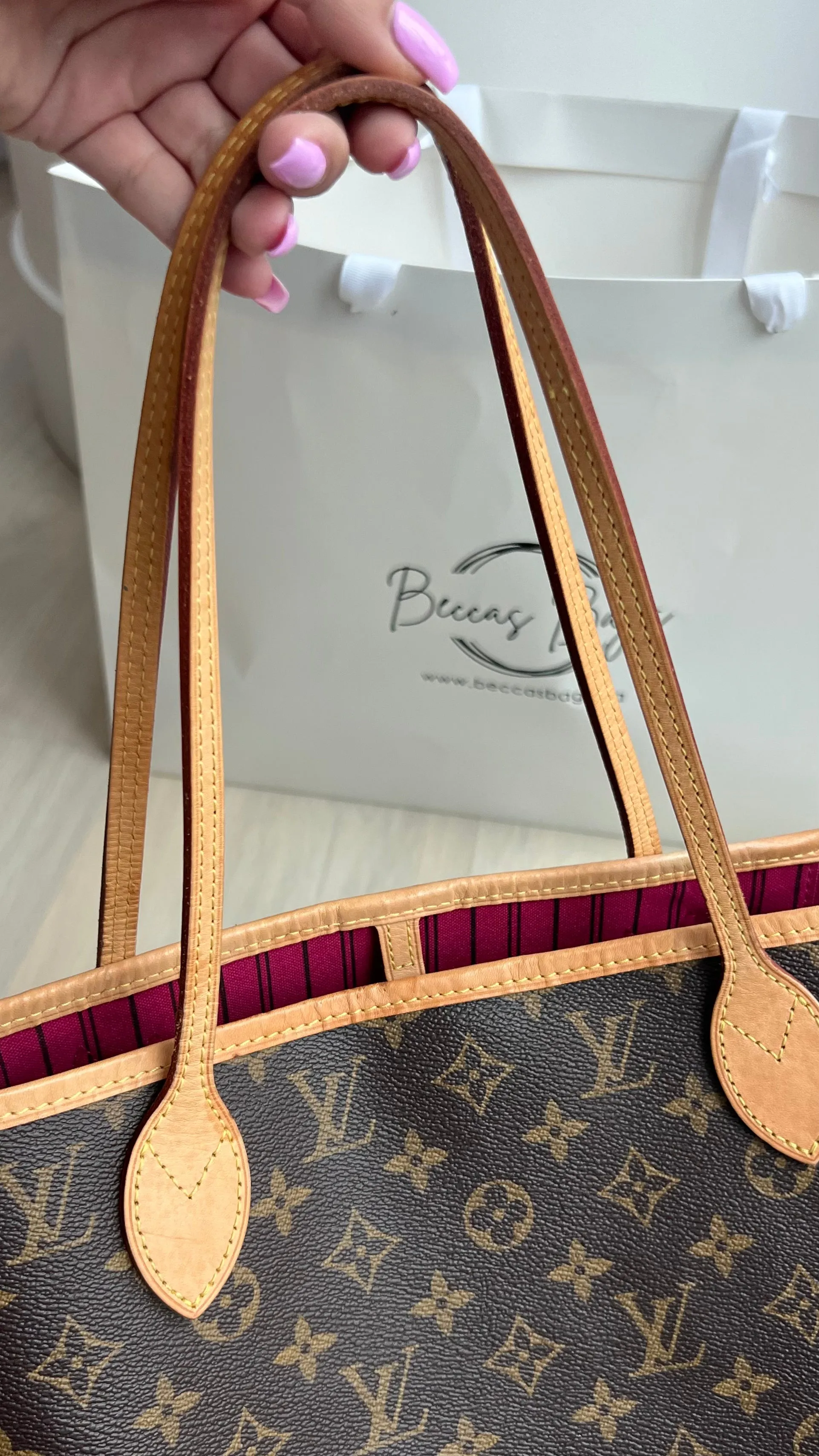 Louis Vuitton Neverfull Bag