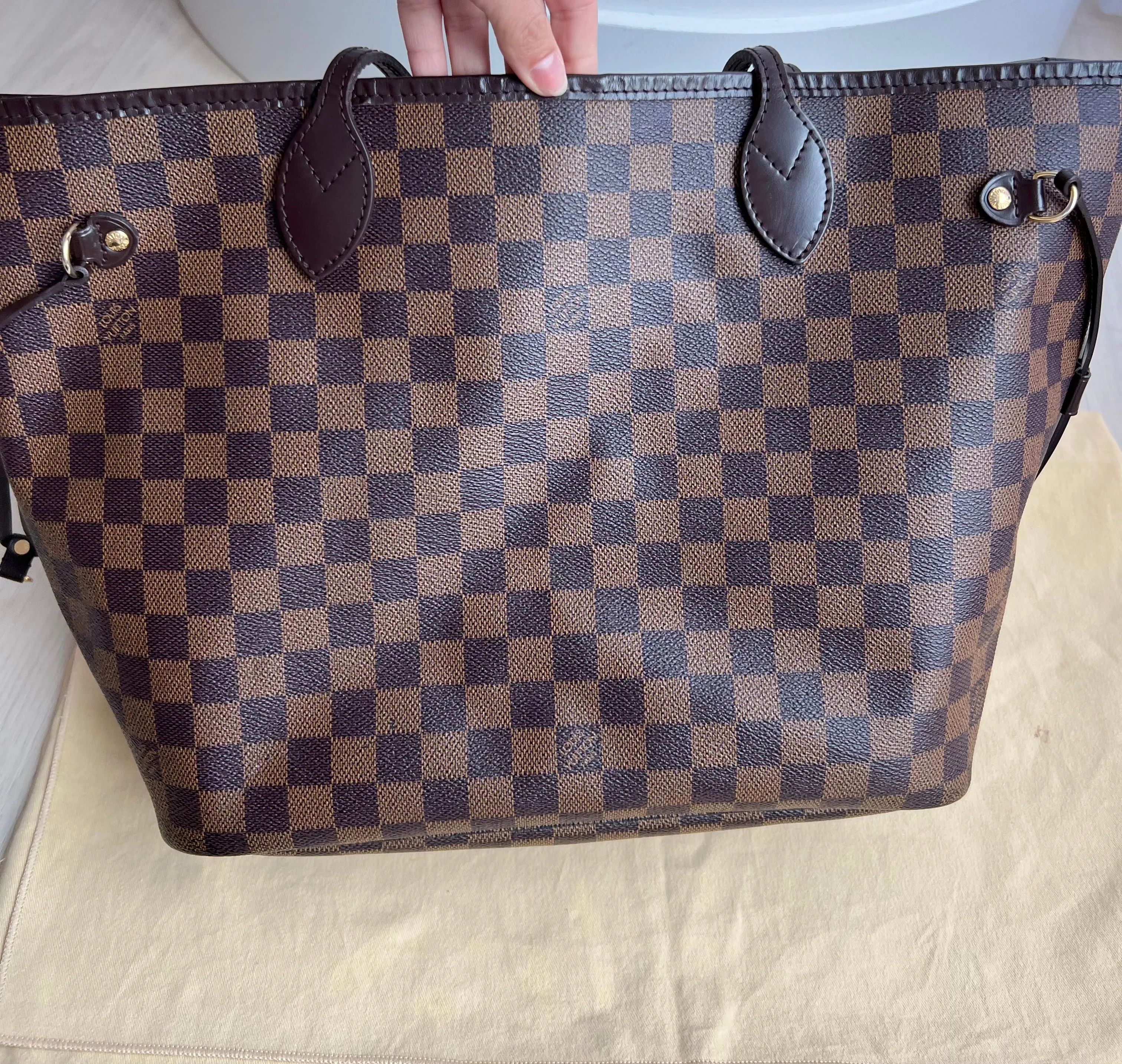 Louis Vuitton Neverfull Bag