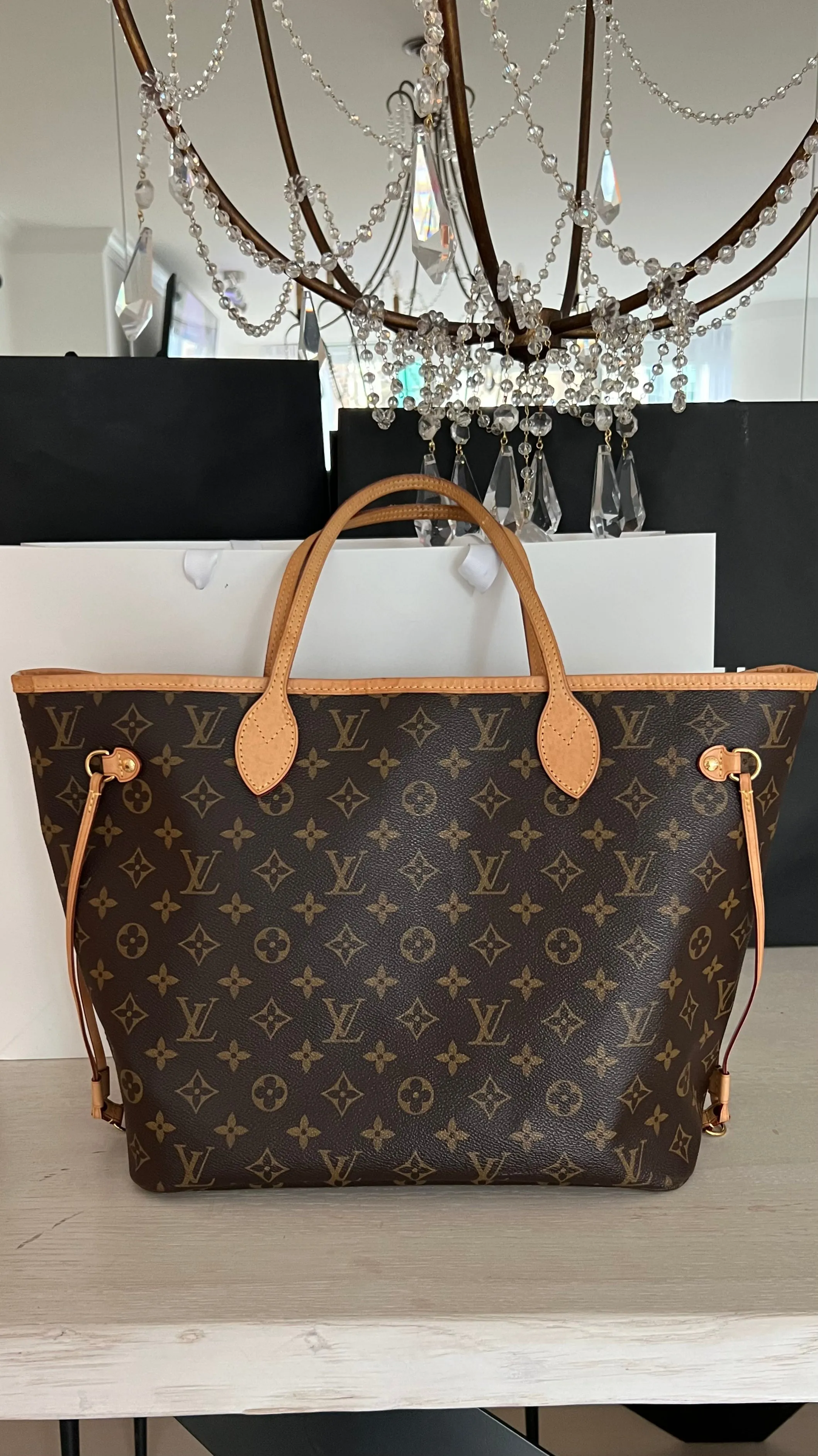 Louis Vuitton Neverfull Bag