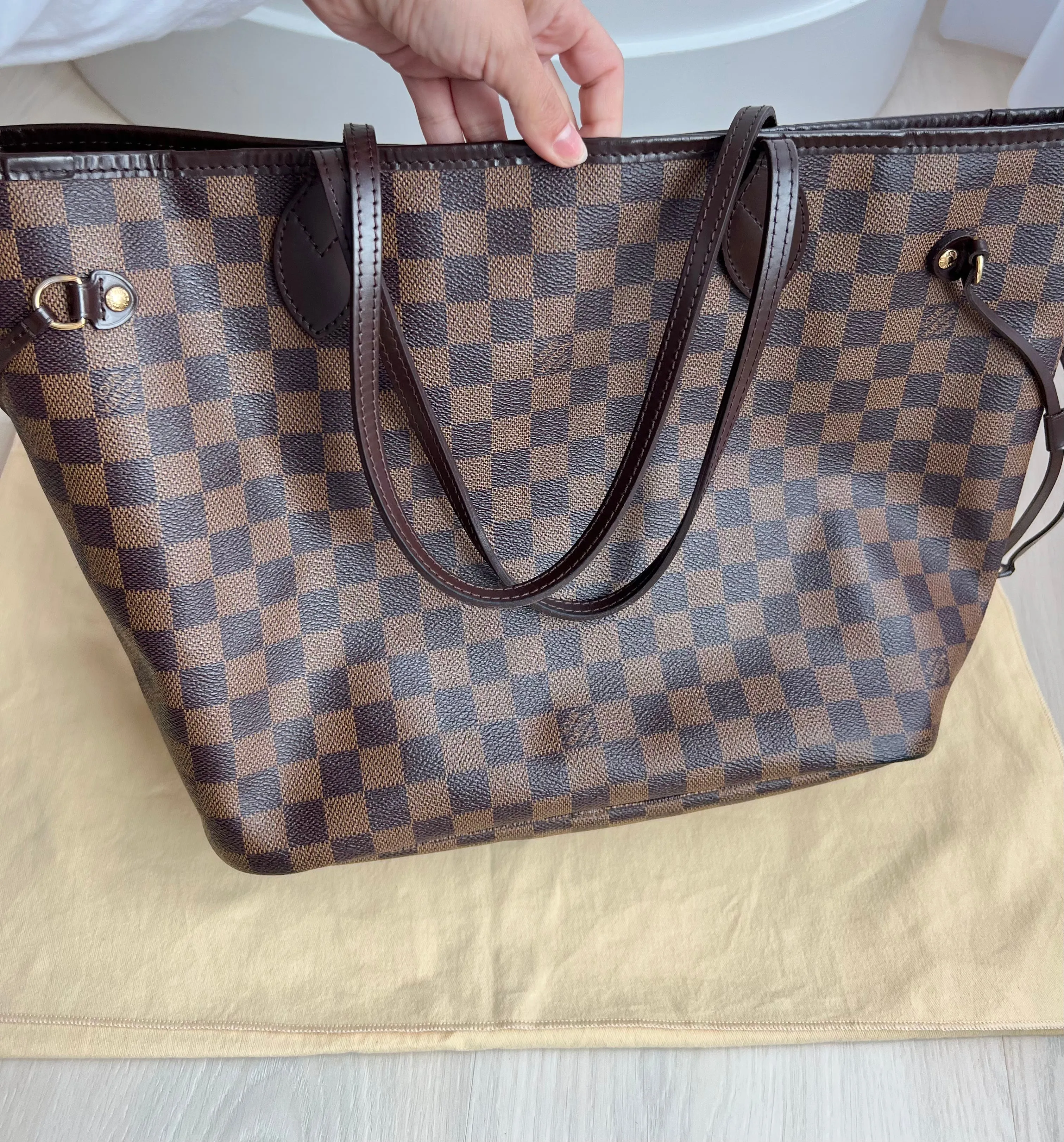 Louis Vuitton Neverfull Bag