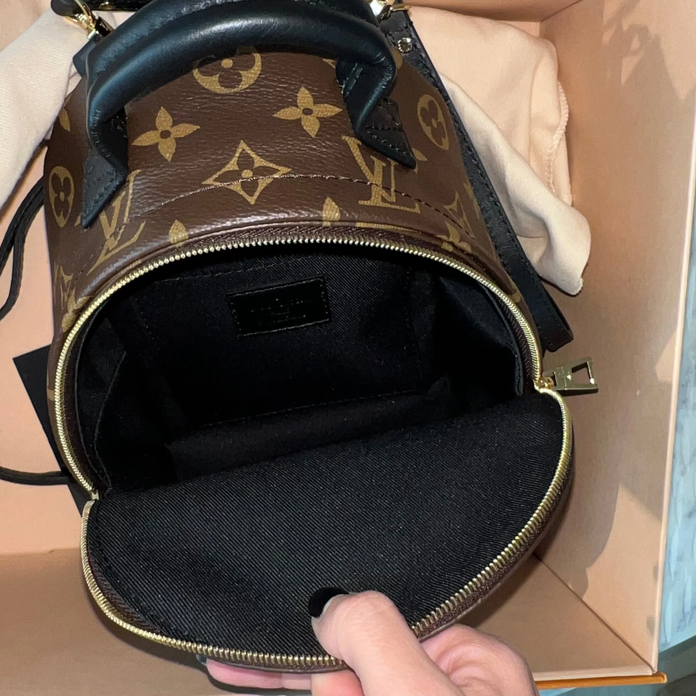 Louis Vuitton Palm Springs Mini Bag