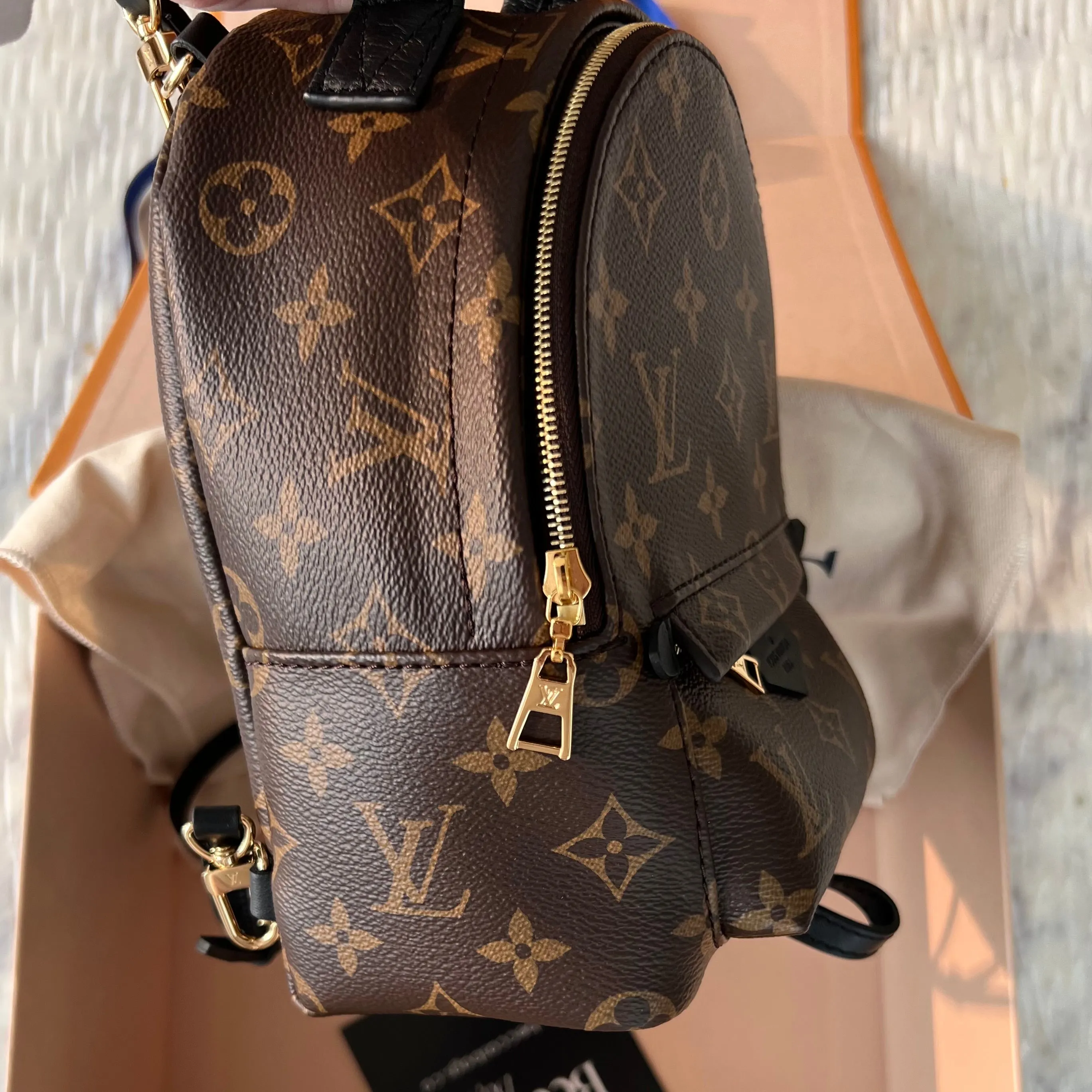 Louis Vuitton Palm Springs Mini Bag