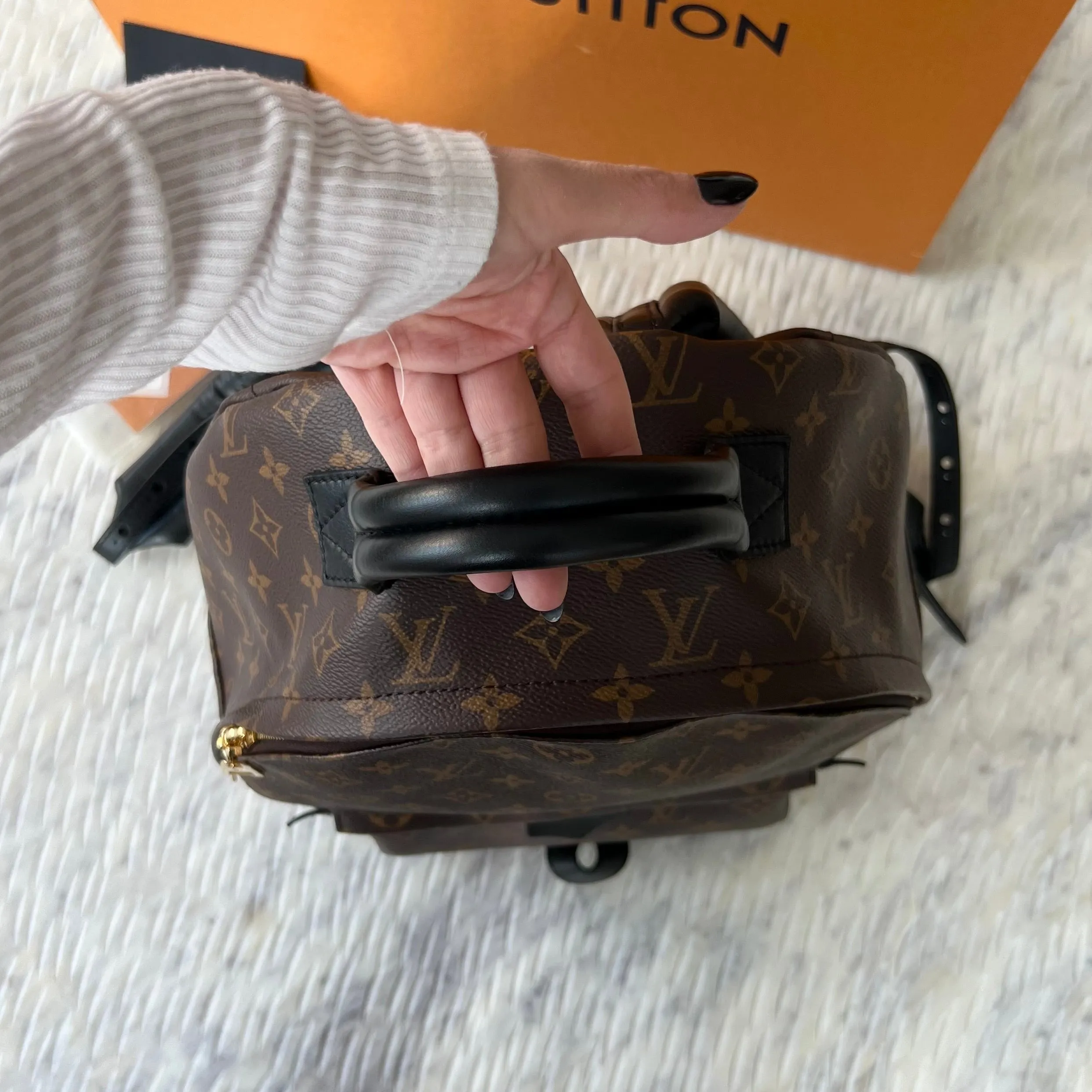 Louis Vuitton Palm Springs MM Bag