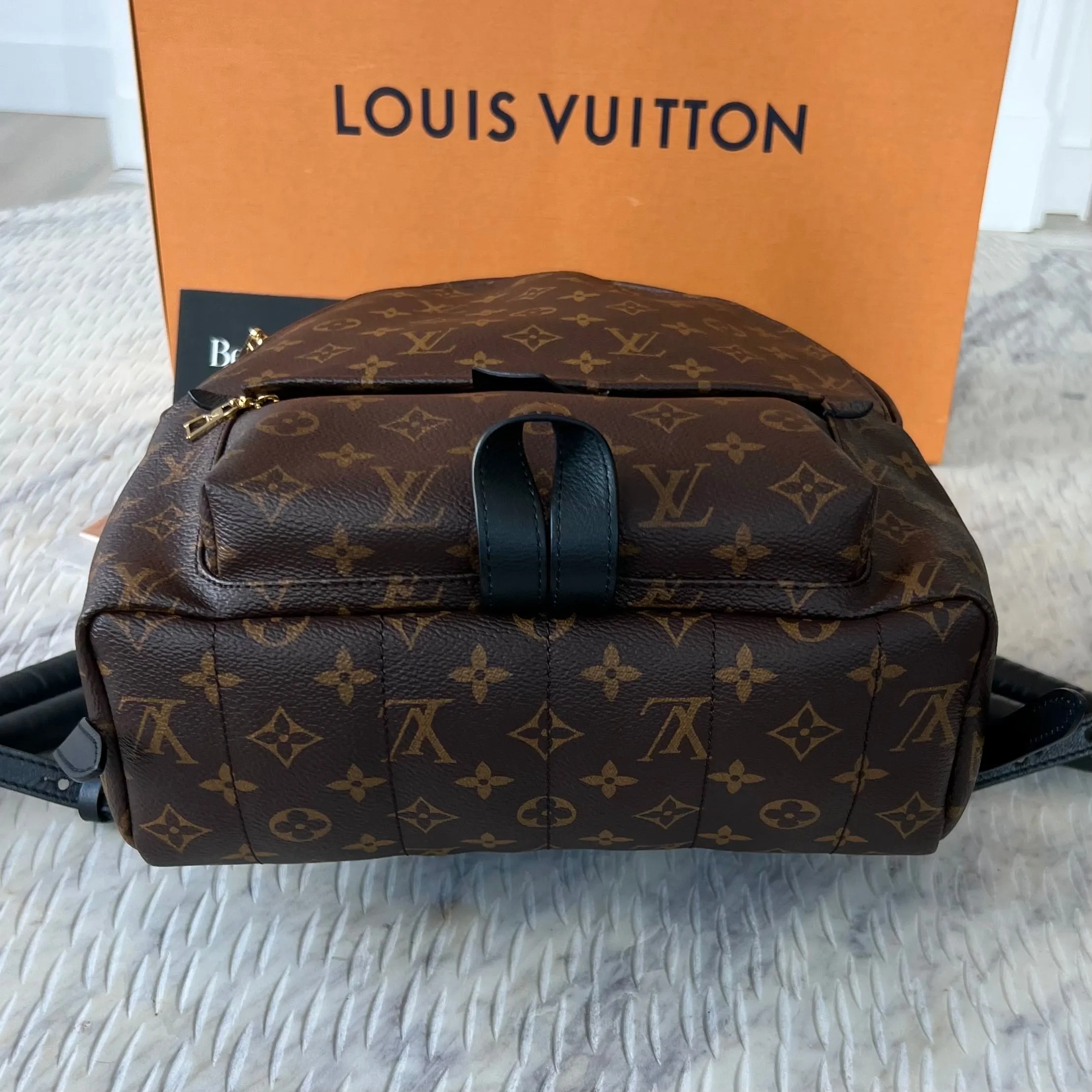 Louis Vuitton Palm Springs MM Bag