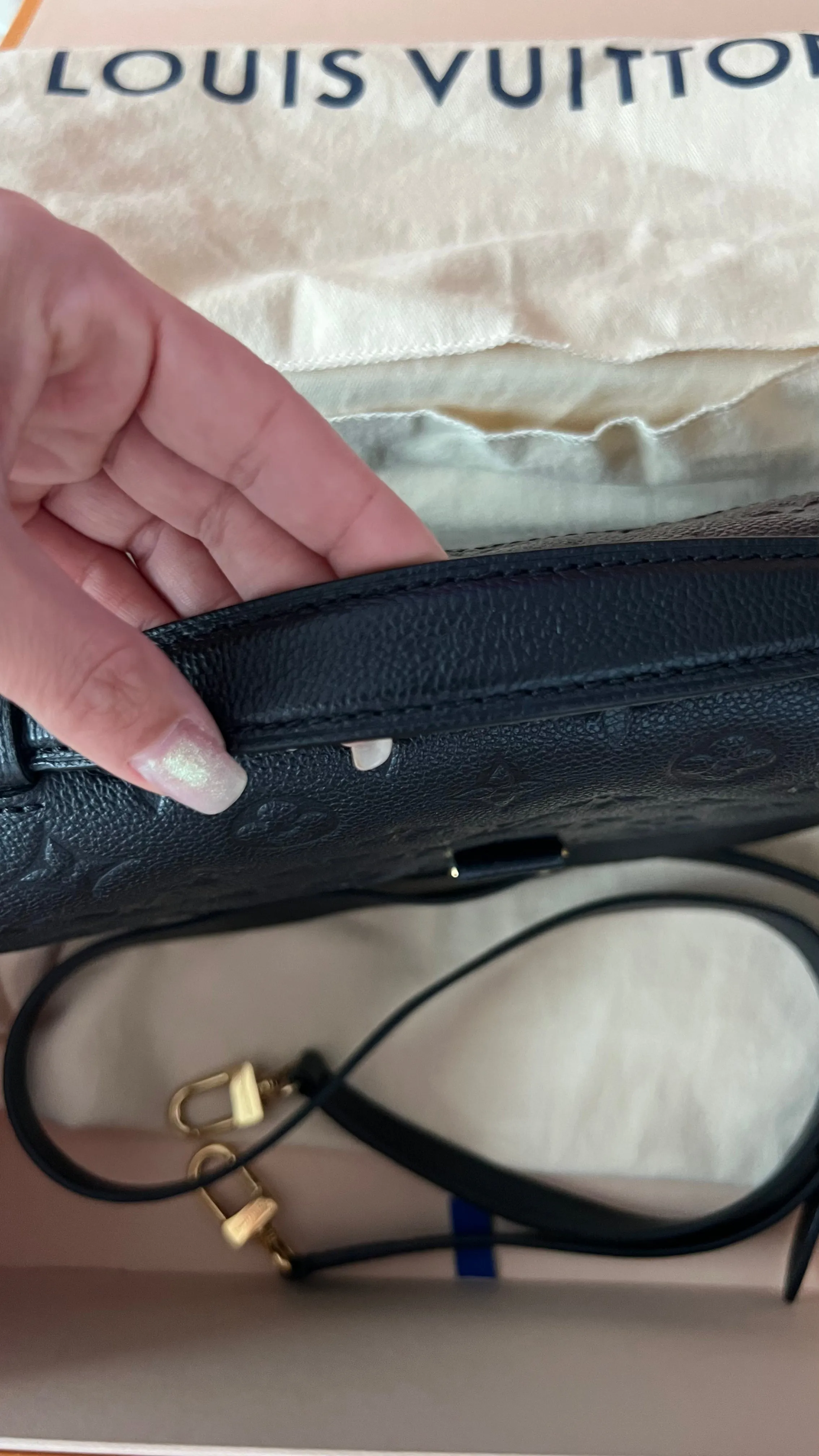 Louis Vuitton Pochette Metis Bag