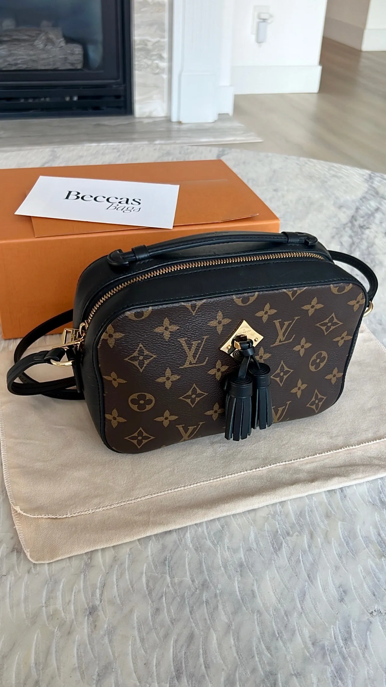 Louis Vuitton Saintonge Bag