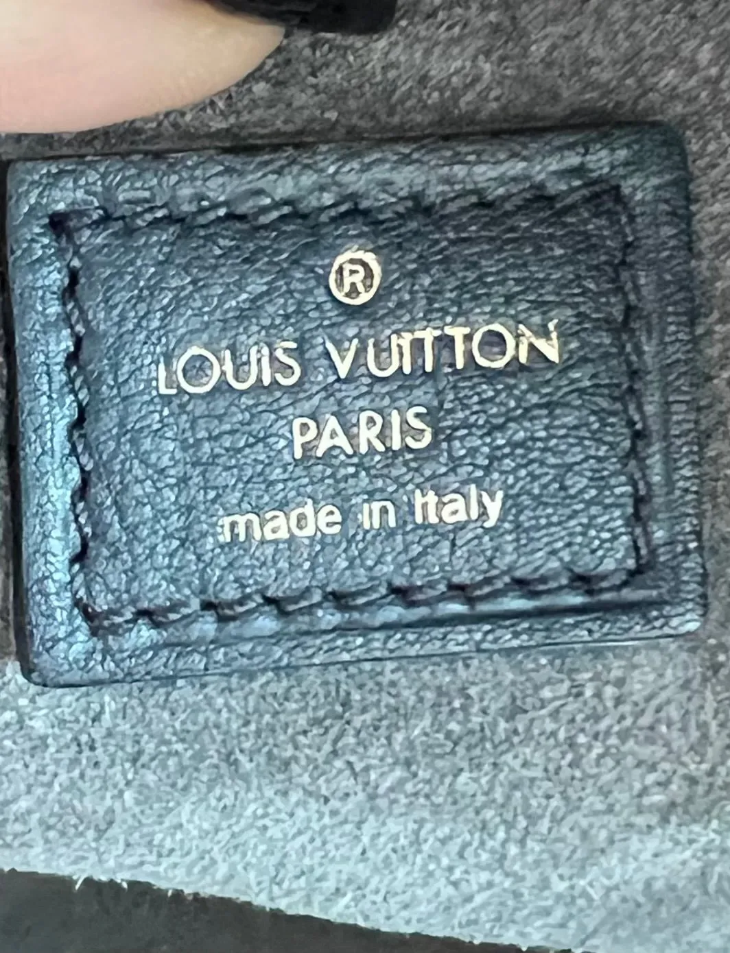 Louis Vuitton Sofia Coppola Bag