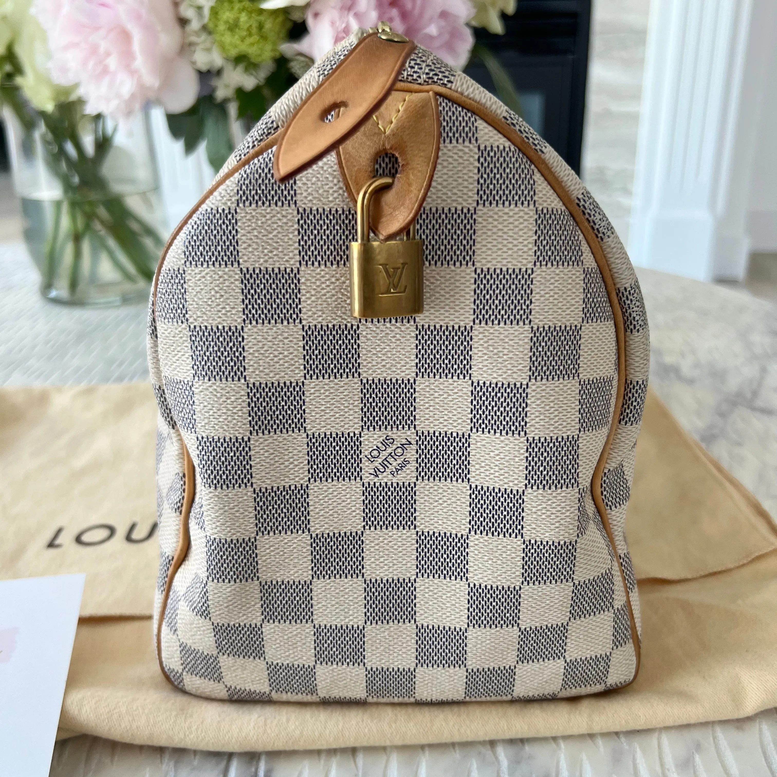 Louis Vuitton Speedy Bag