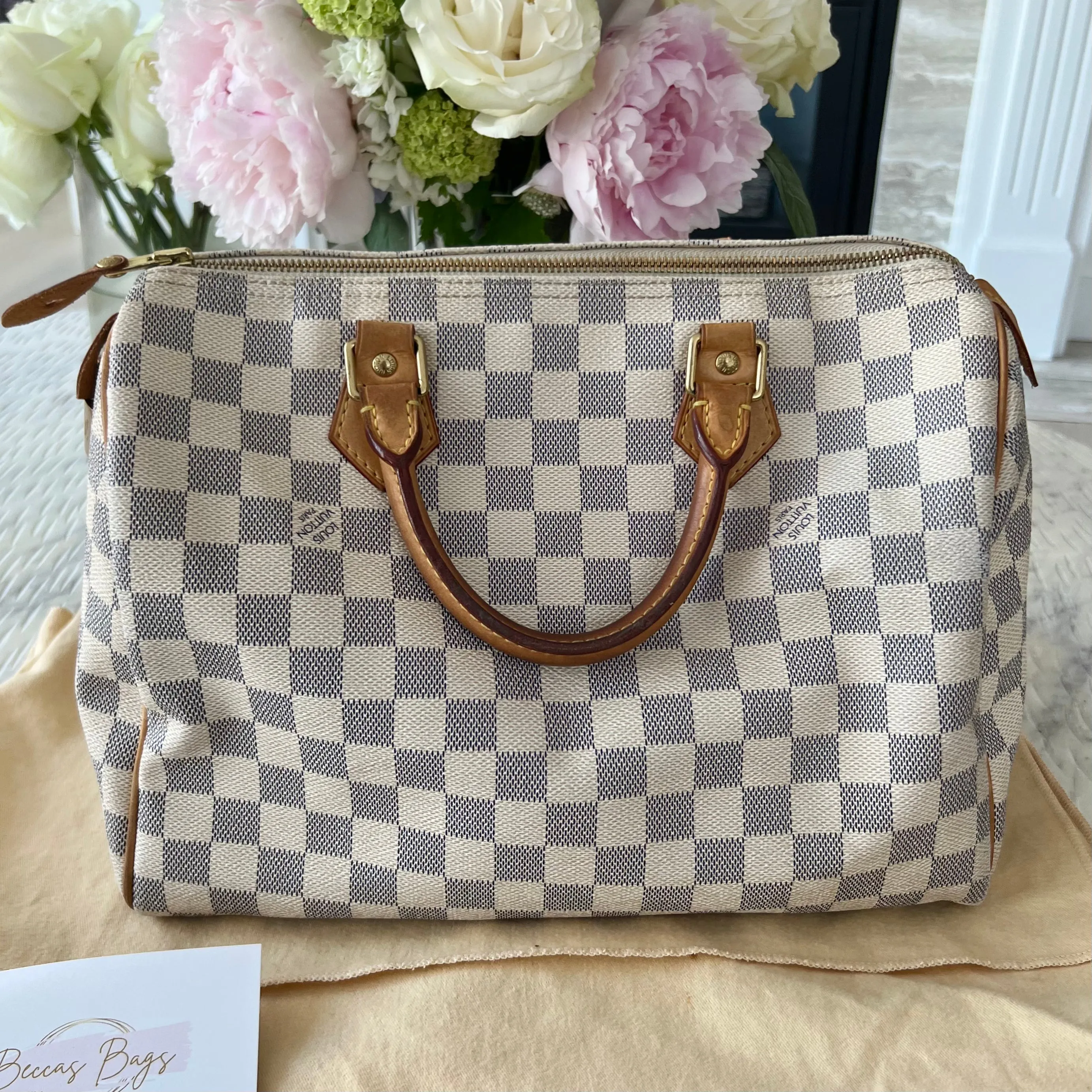 Louis Vuitton Speedy Bag