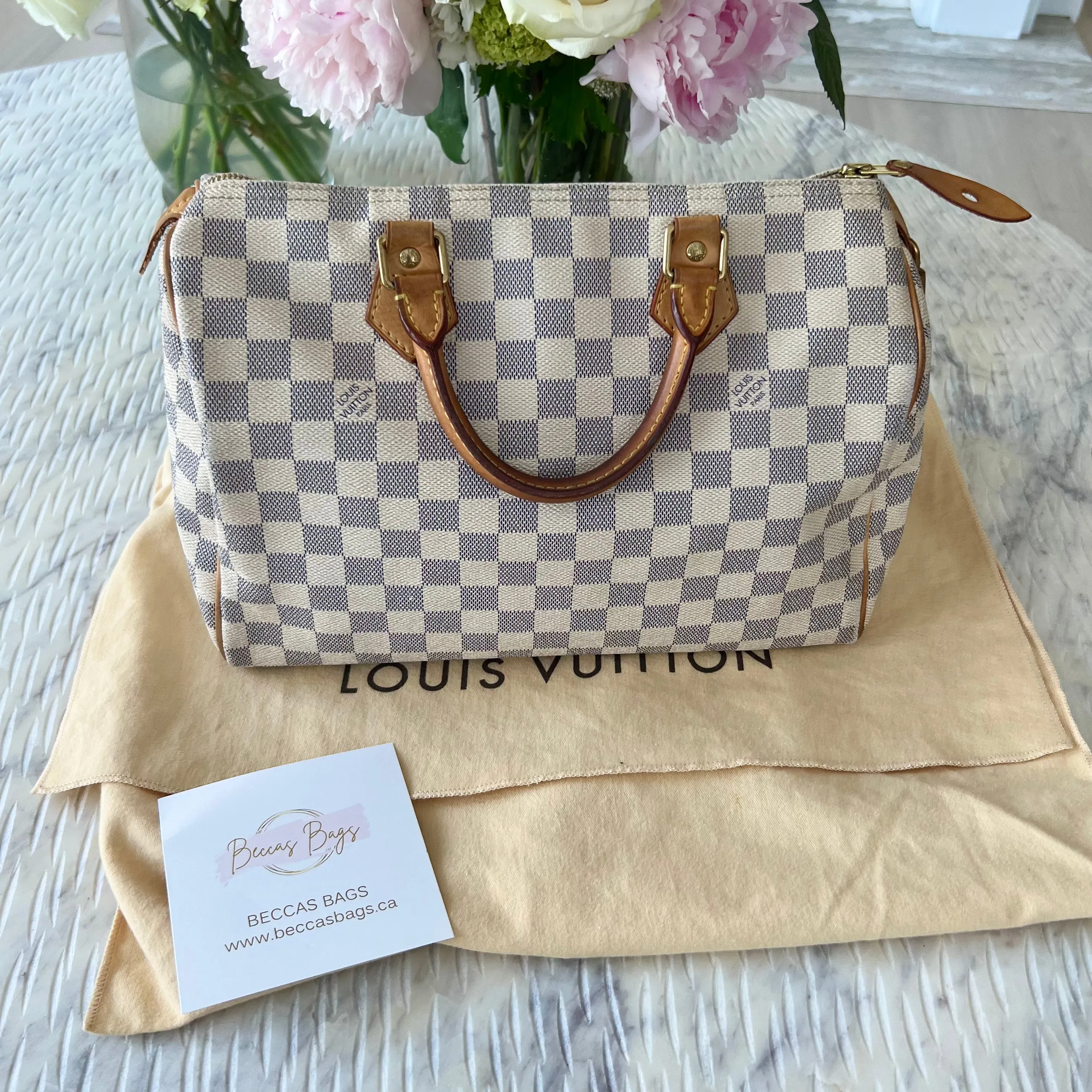 Louis Vuitton Speedy Bag