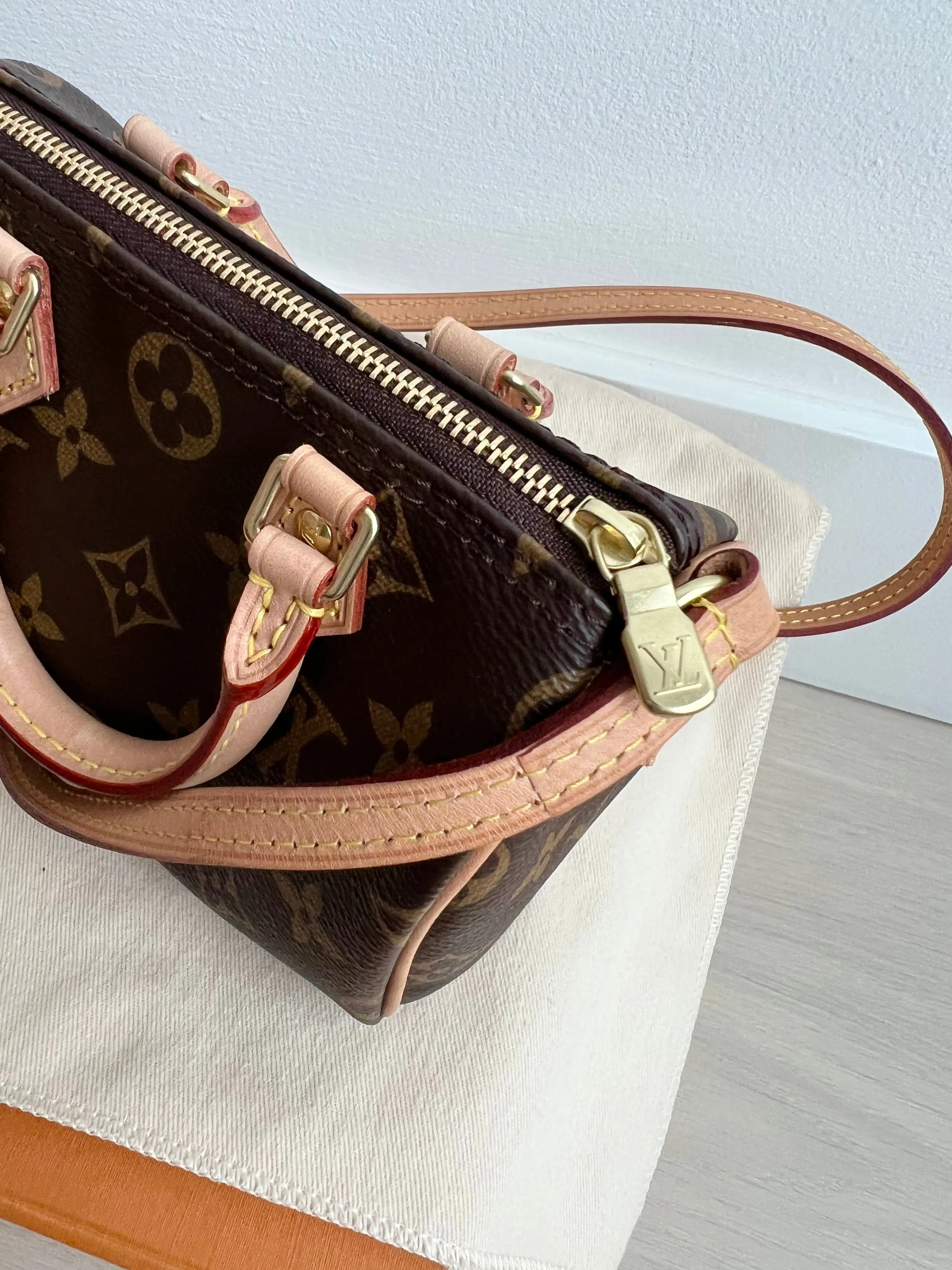 Louis Vuitton Speedy Nano Bag