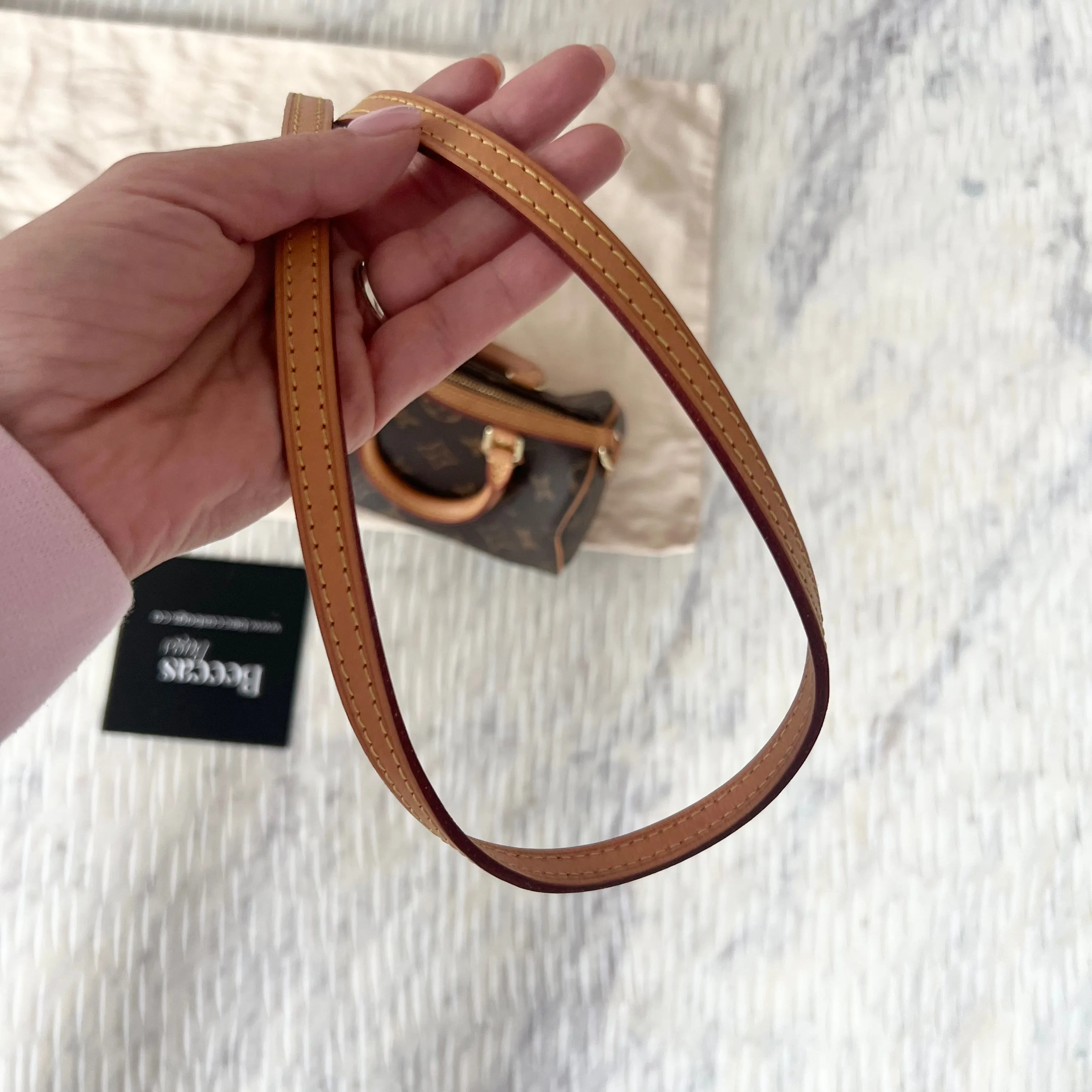 Louis Vuitton Speedy Nano Bag