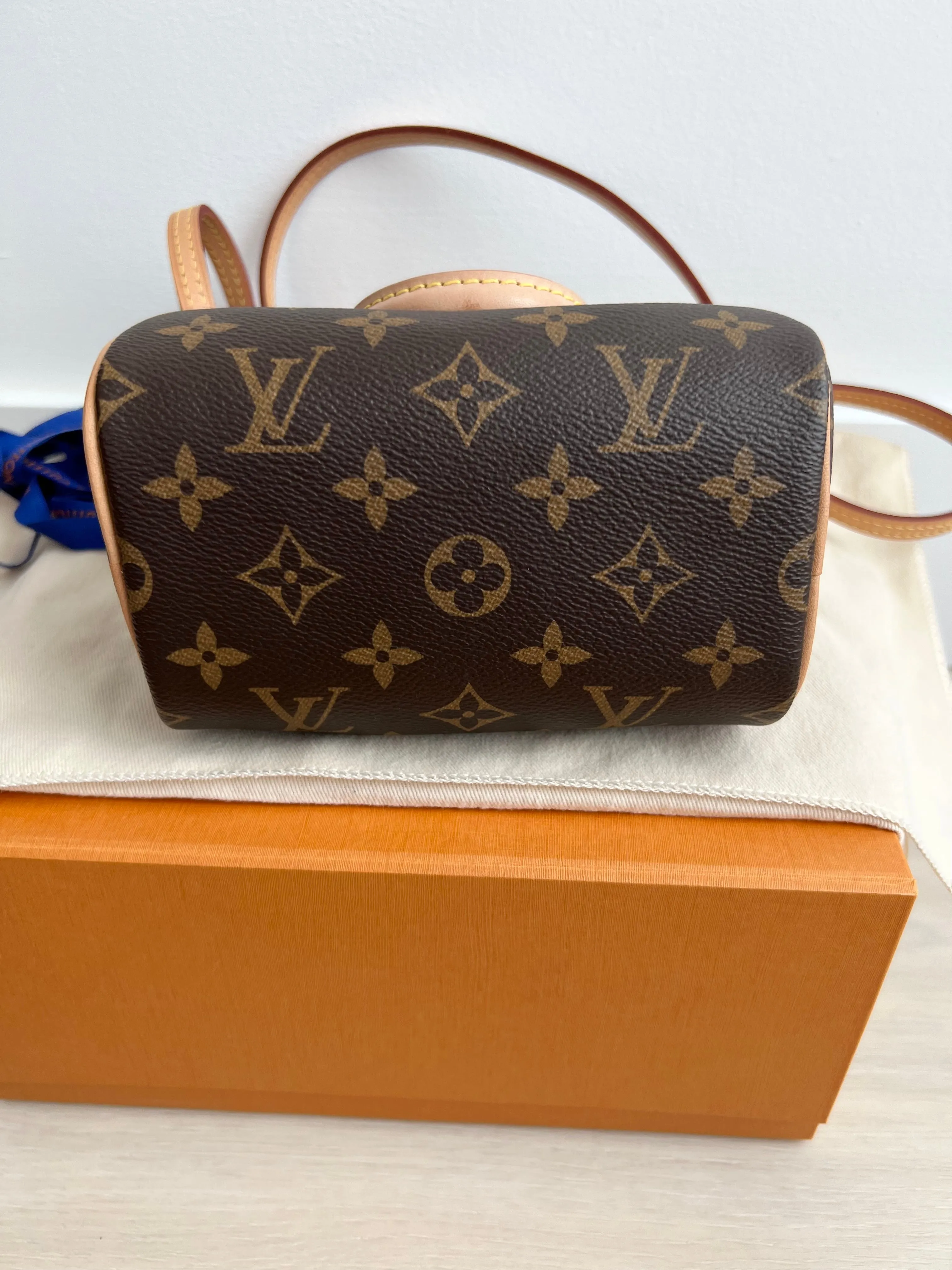 Louis Vuitton Speedy Nano Bag