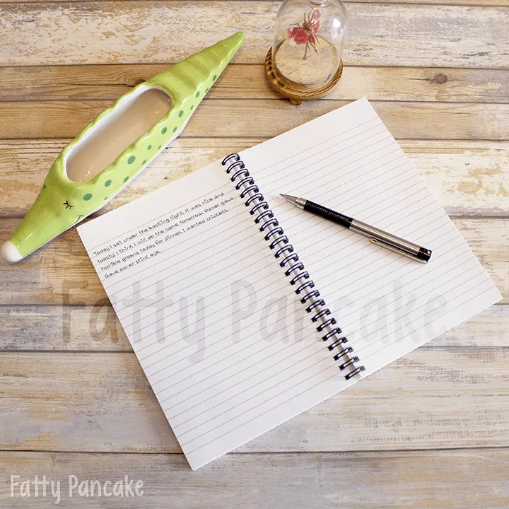 Western Hognose Snake Stationery Notebook